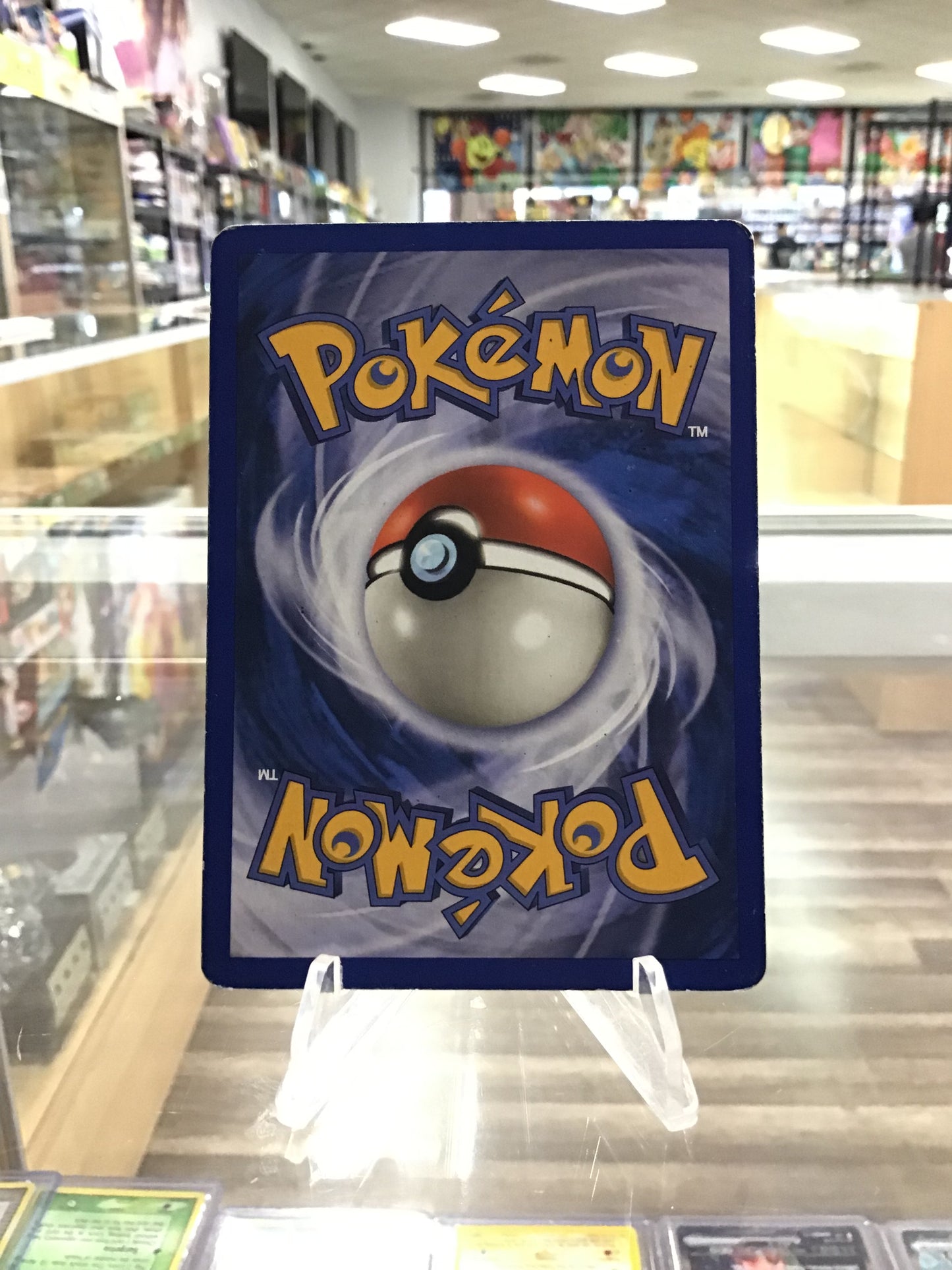 (MP) Piloswine (24) Skyridge