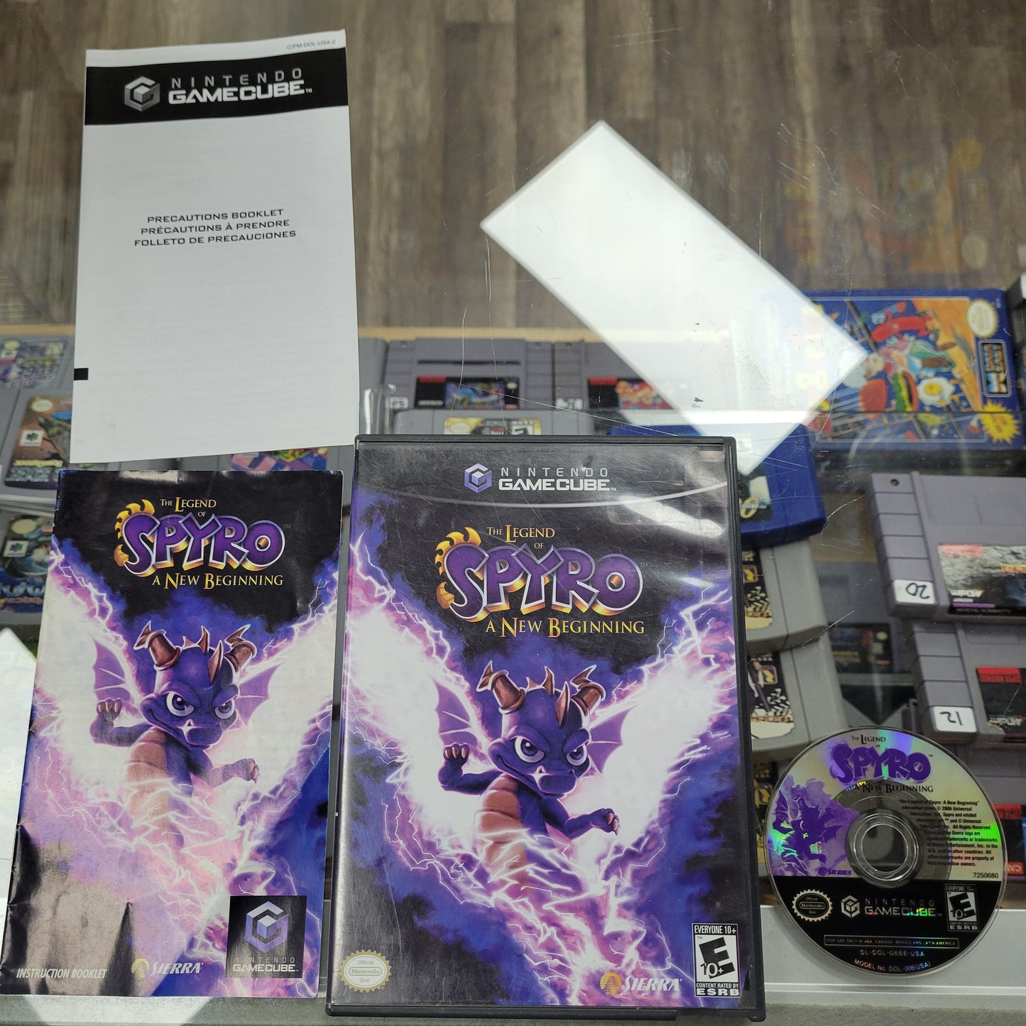 The Legend of Spyro A New Beginning Nintendo Gamecube