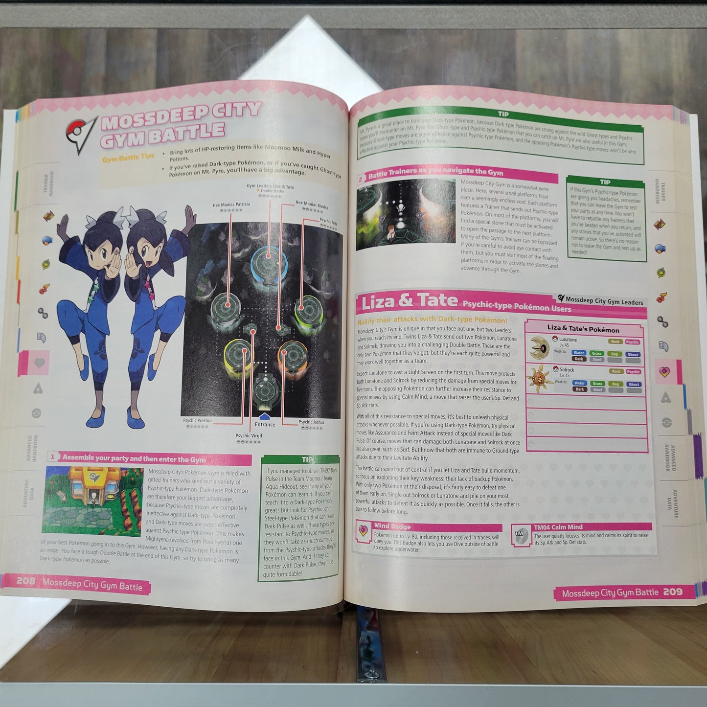 Pokémon Omega Ruby Alpha Sapphire Hoenn Region Strategy Guide