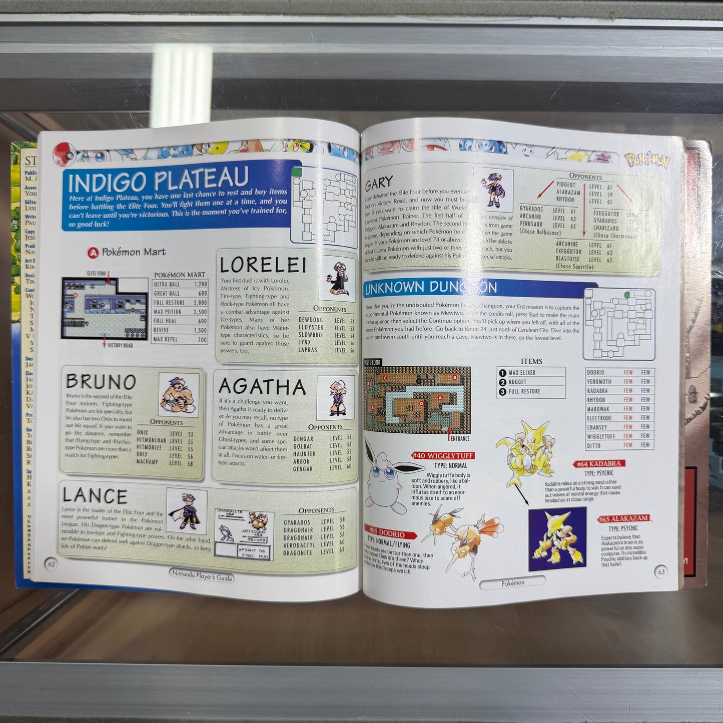 Pokémon Official Nintendo Players Guide (no stickers)