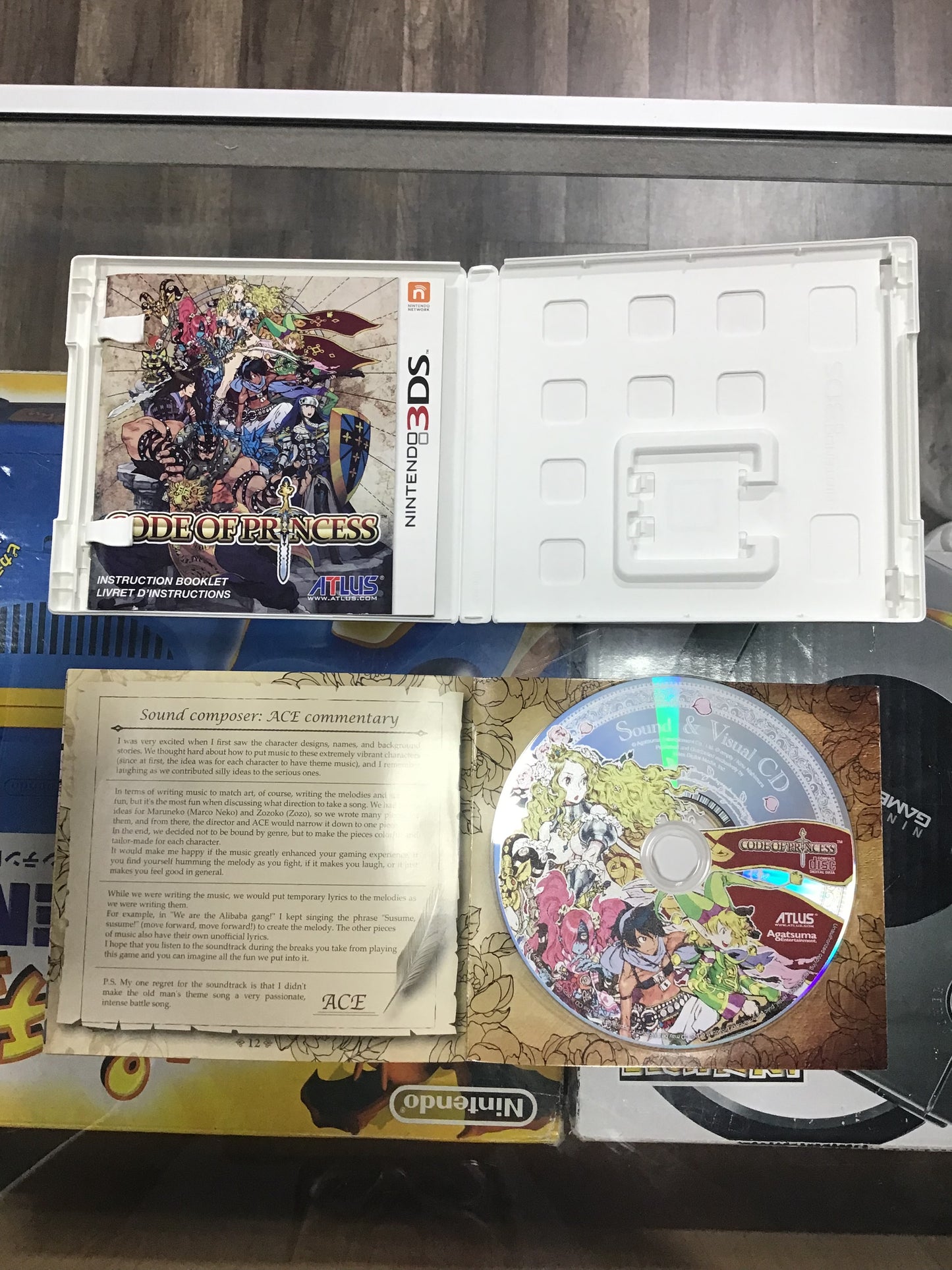 Code of Princess Nintendo 3DS Case and Manual ONLY