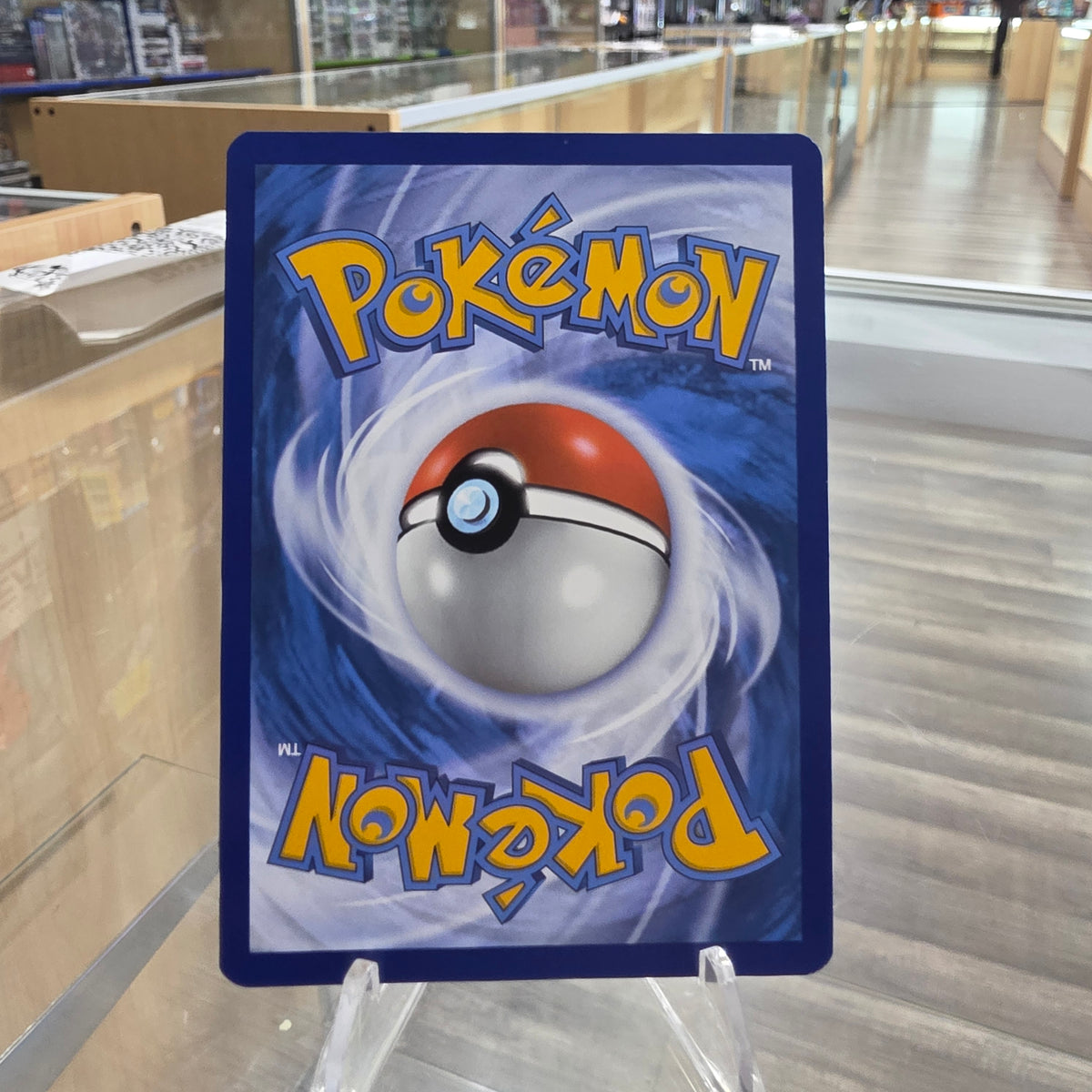 (NM) Turtwig - SWSH: Crown Zenith: Galarian Gallery
