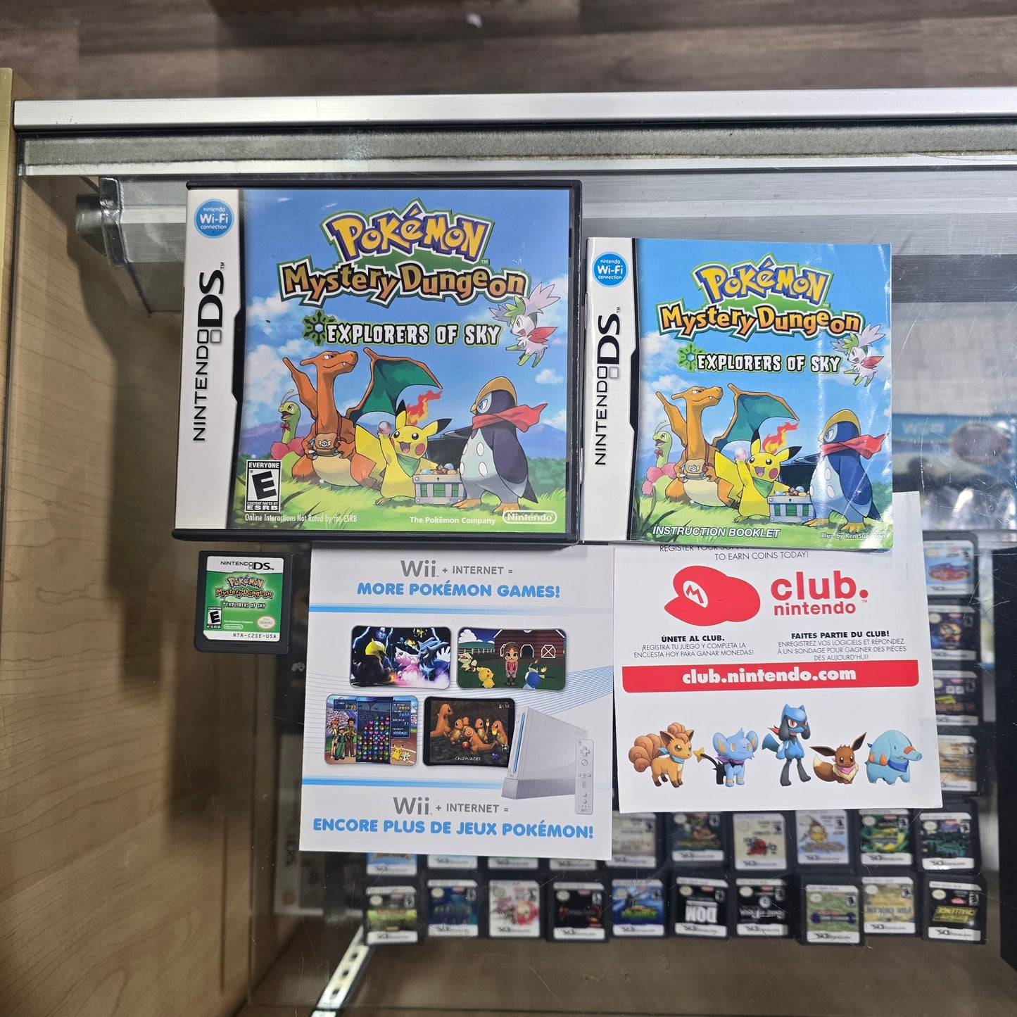 Pokemon Mystery Dungeon Explorers of Sky Nintendo DS