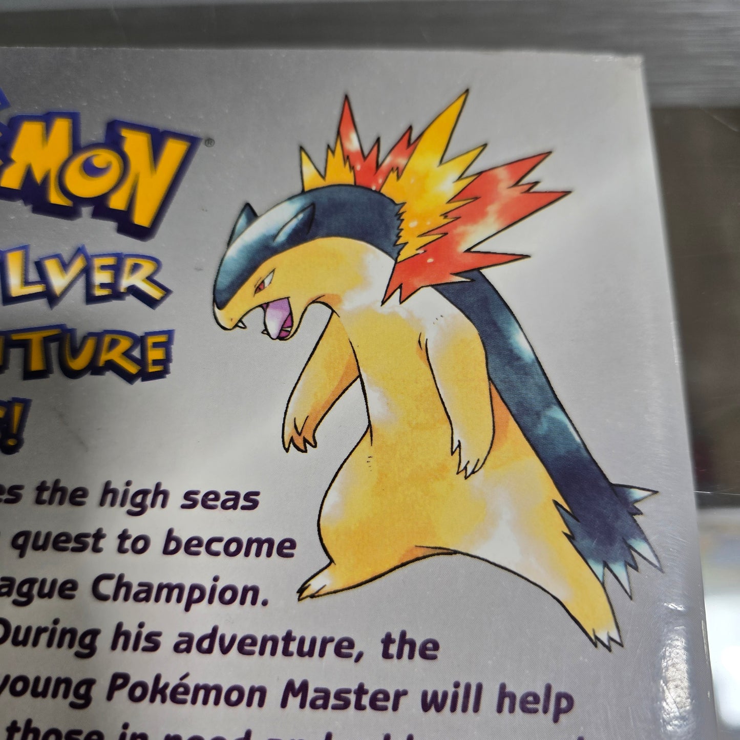 Pokémon Gold and Silver The Adventure Continues Players Guide