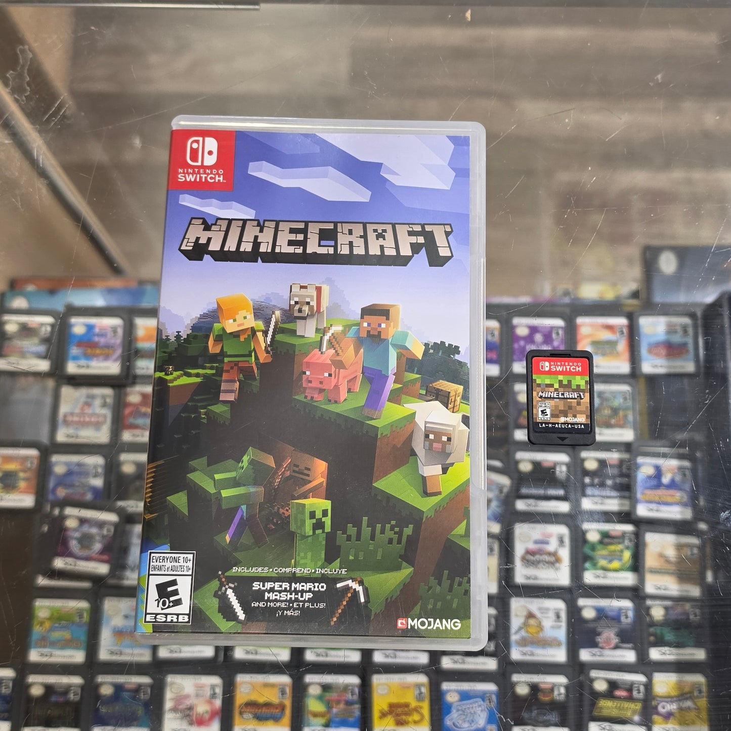 Minecraft Nintendo Switch