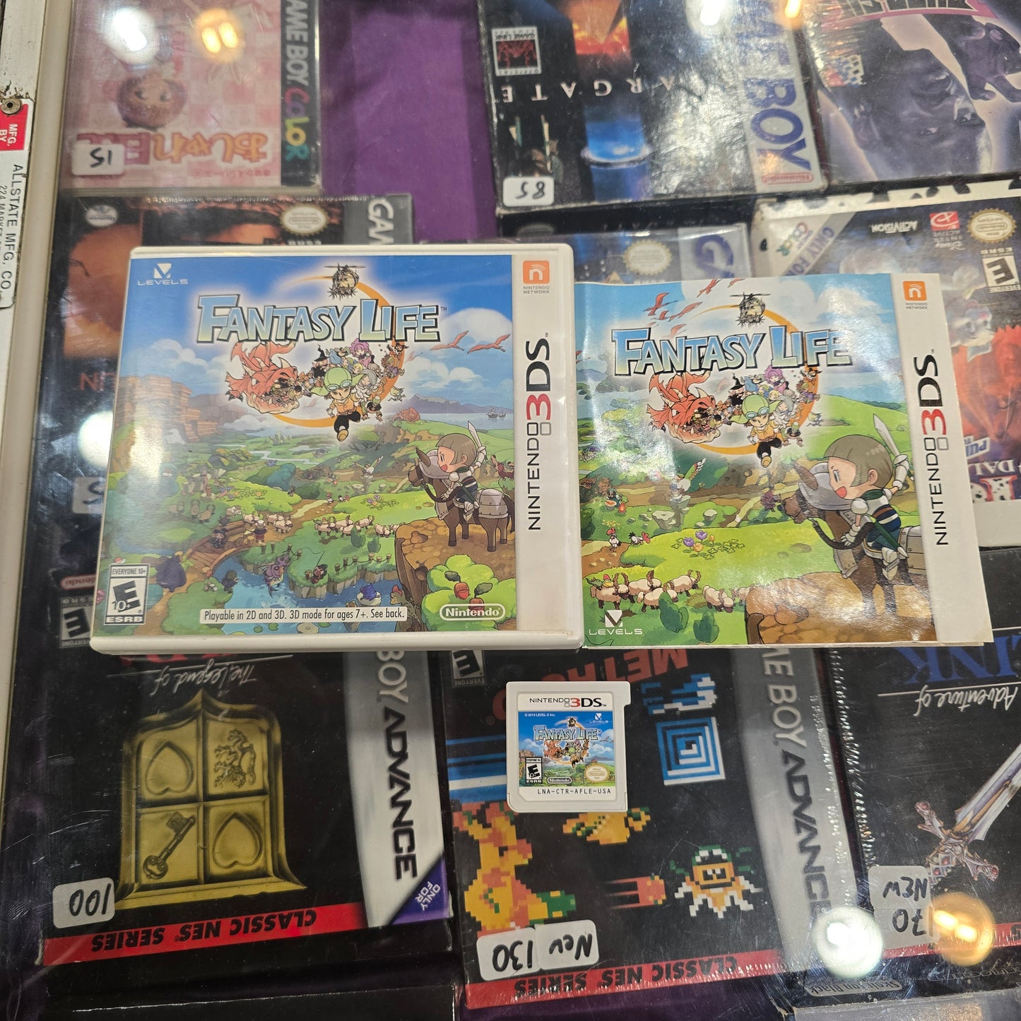 Fantasy Life Nintendo 3DS