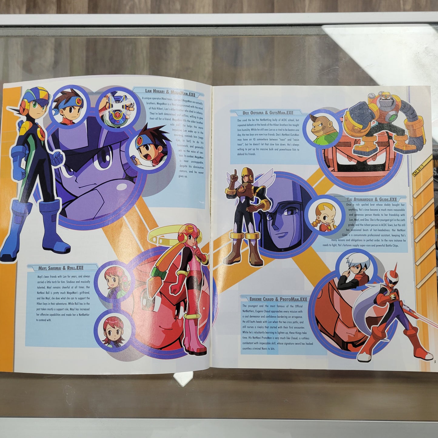 Mega Man Battle Network 4 Red Sun Strategy Game Guide