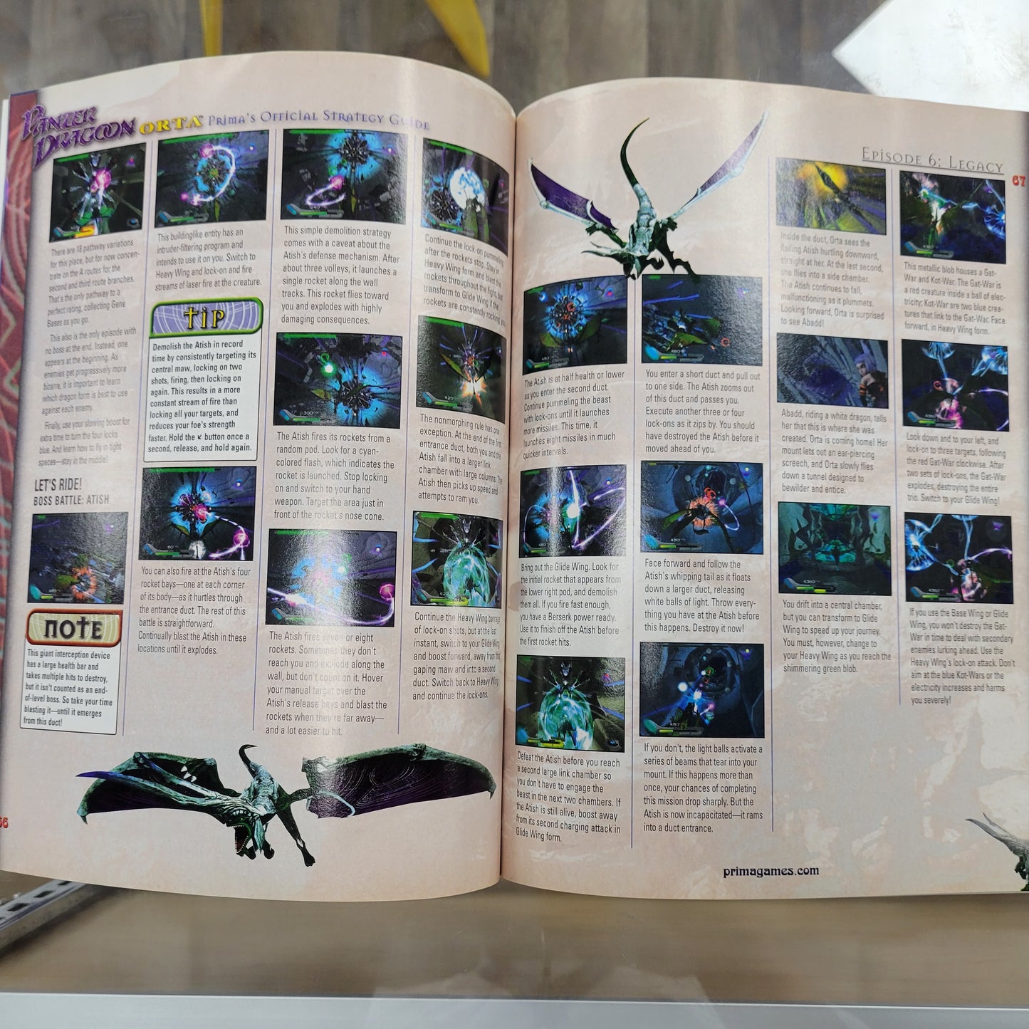 Panzer Dragoon Orta Strategy Guide