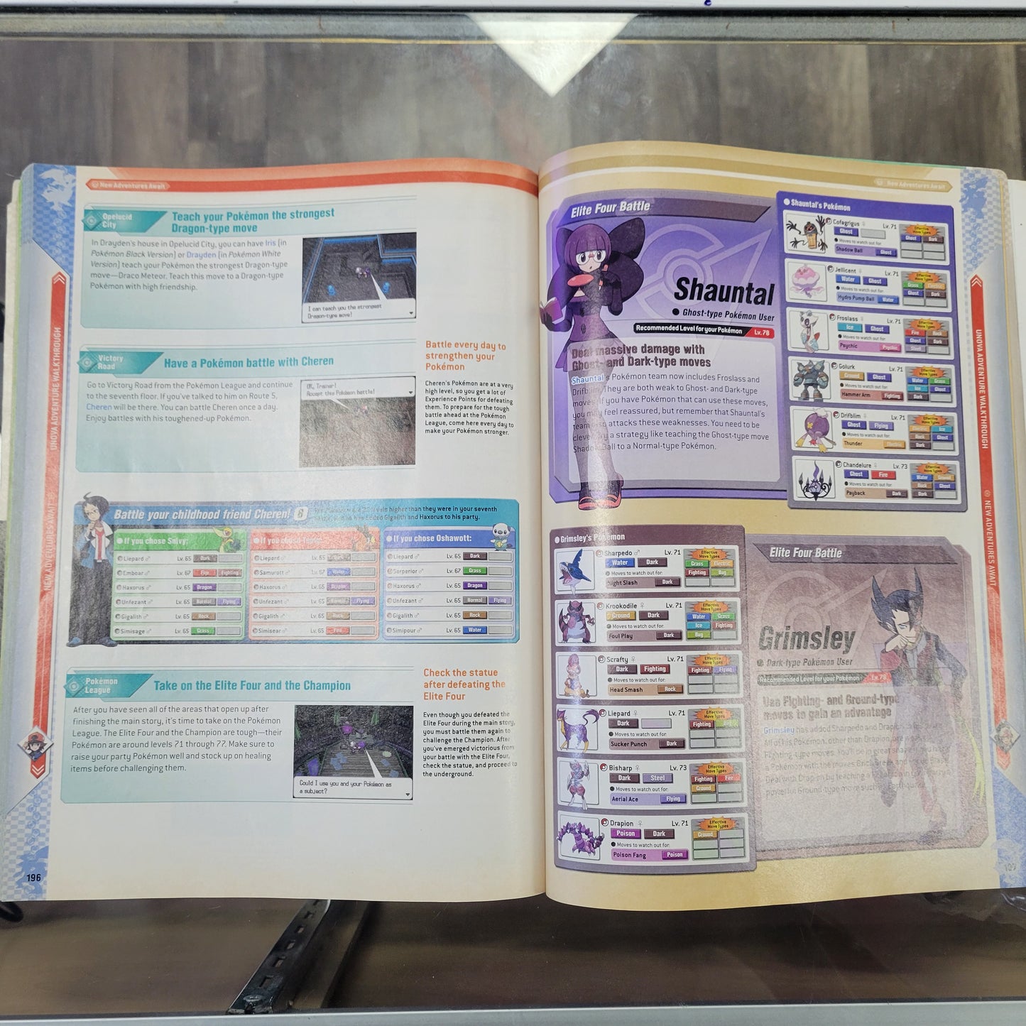 Pokémon Black And White Strategy Guide