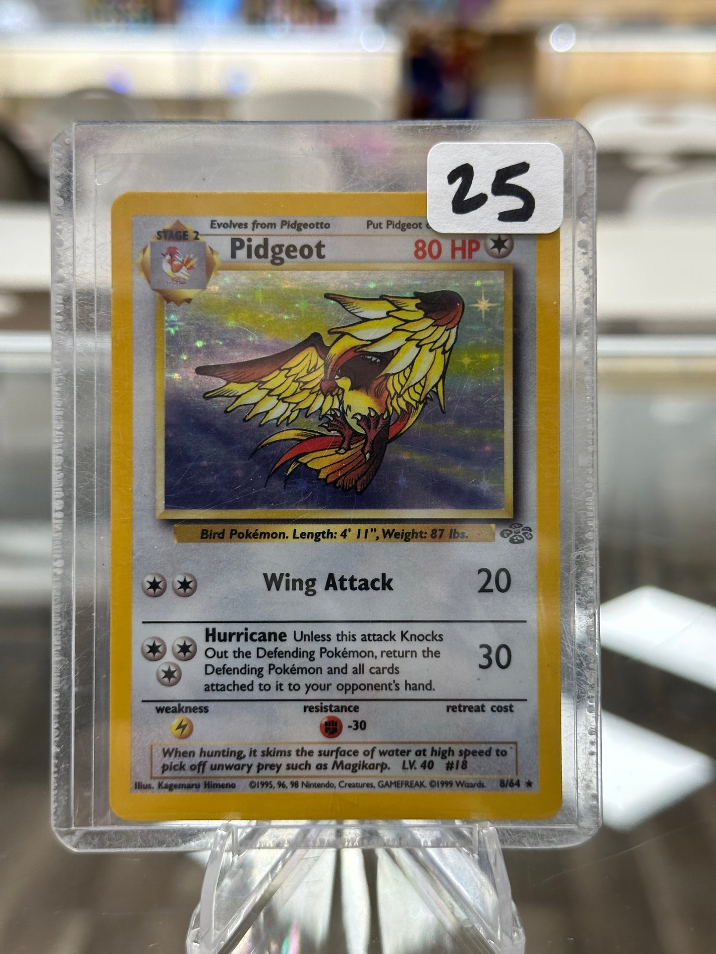 Pidgeot (8) - Jungle (JU) LP