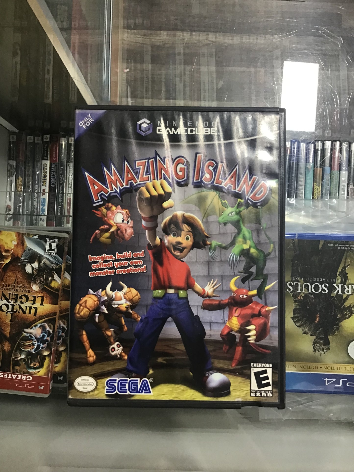 Amazing Island Nintendo GameCube Case ONLY
