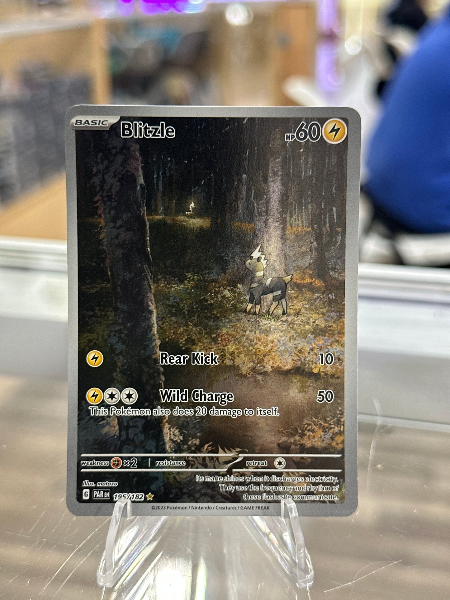 Blitzle - 195/182 - SV04: Paradox Rift