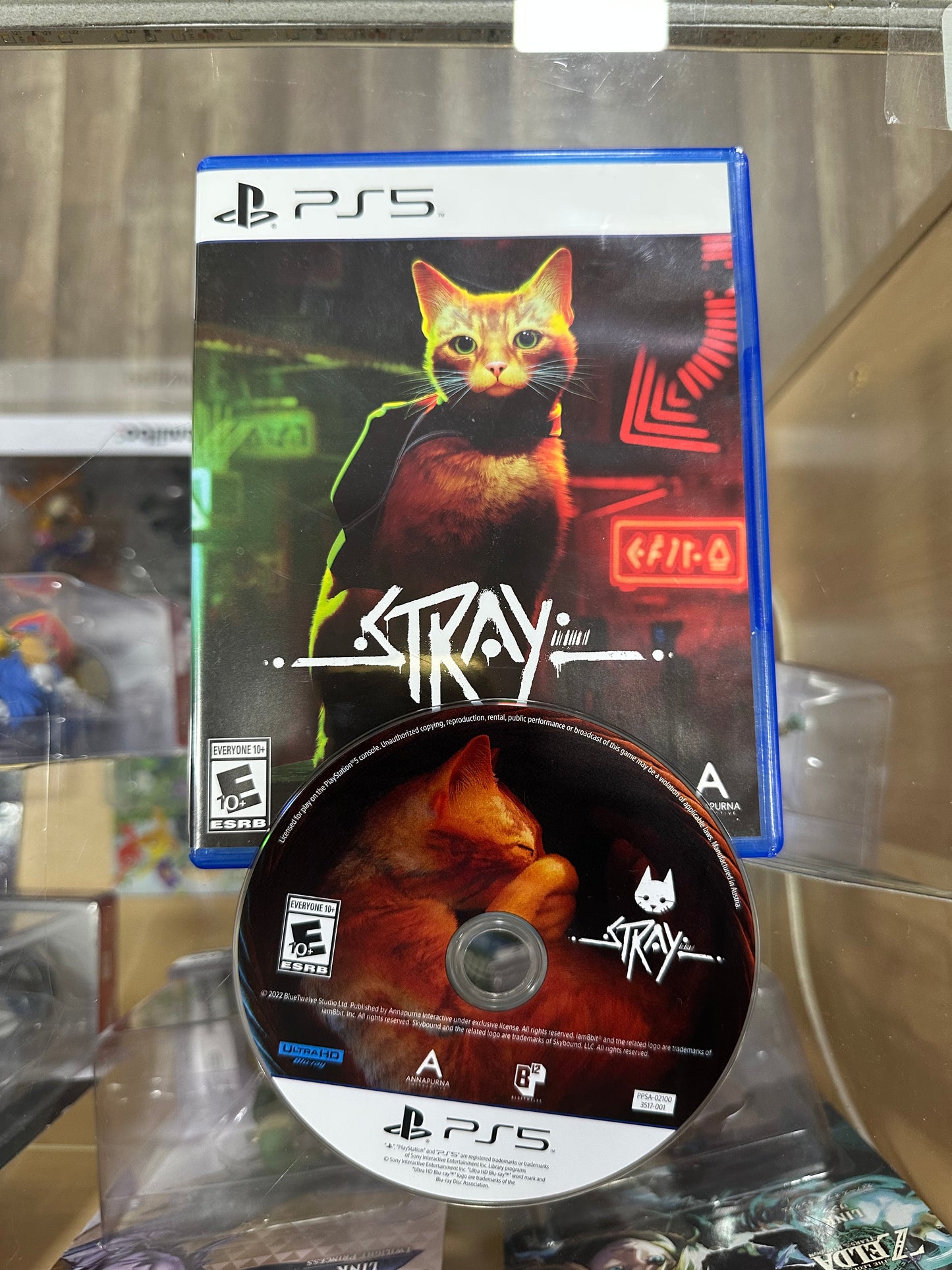 Stray PlayStation 5