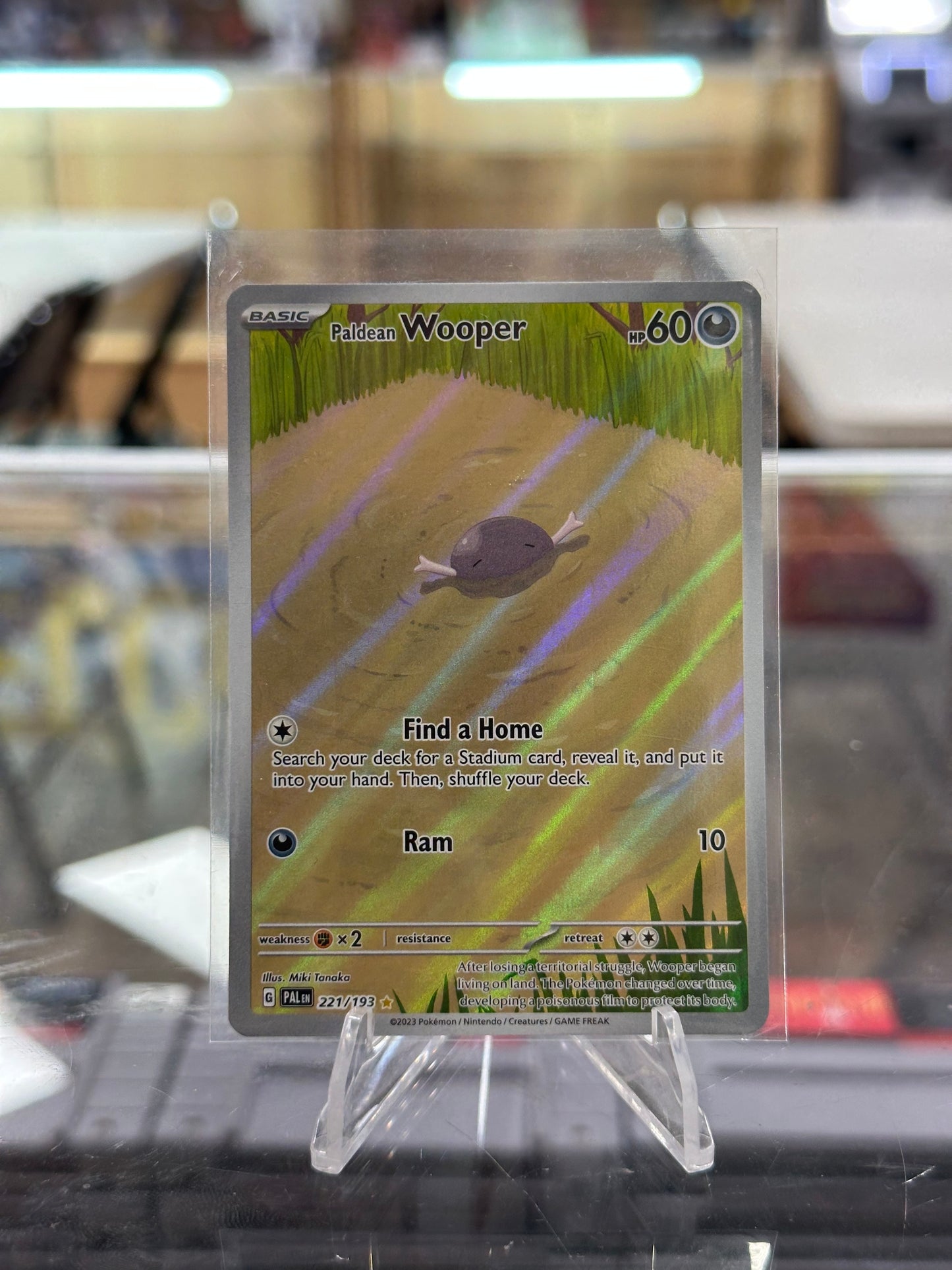 Paldean Wooper - 221/193 - SV02: Paldea Evolved NM