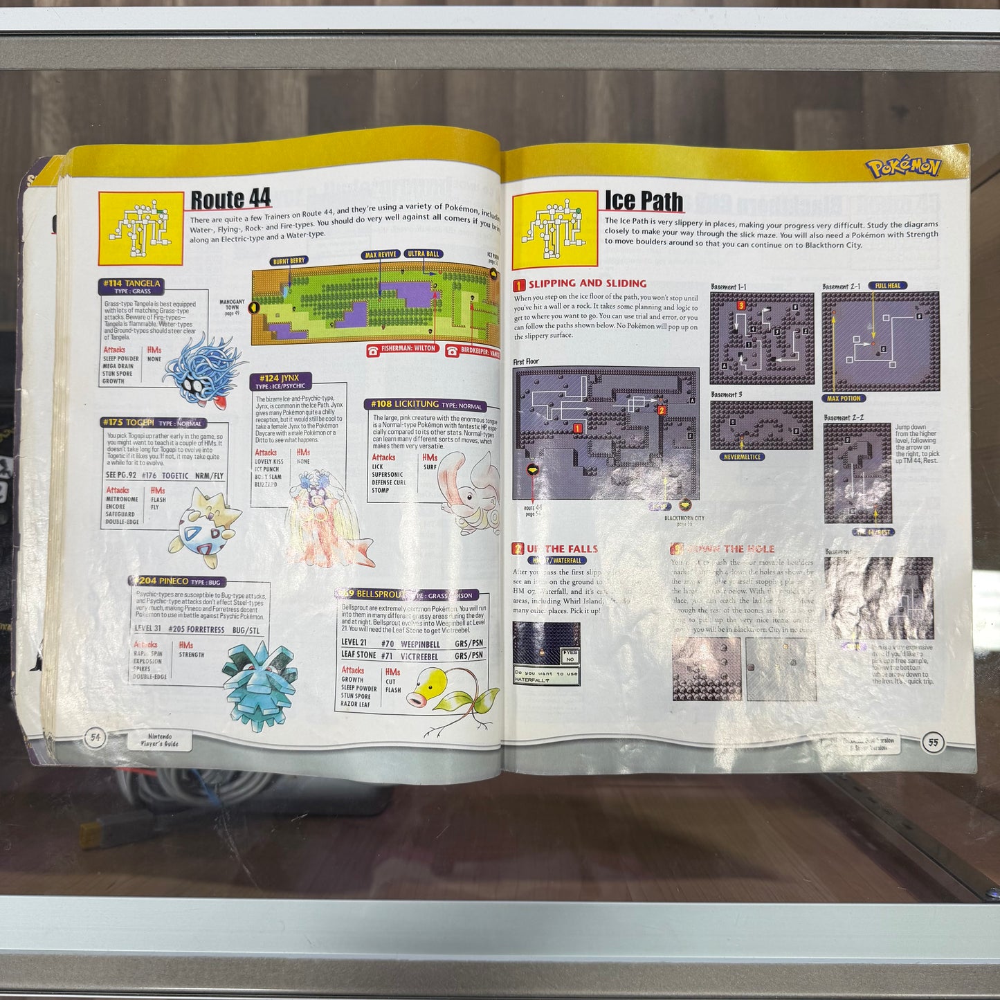 Pokémon silver gold strategy guide