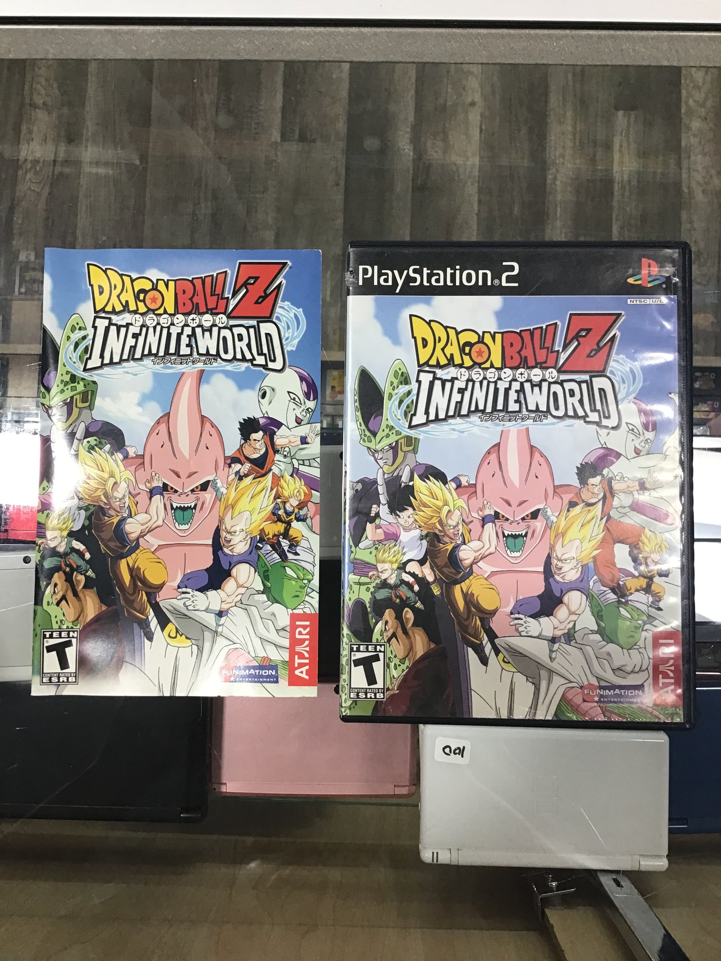 Dragon Ball Z Infinite World PlayStation 2 Case and Manual ONLY