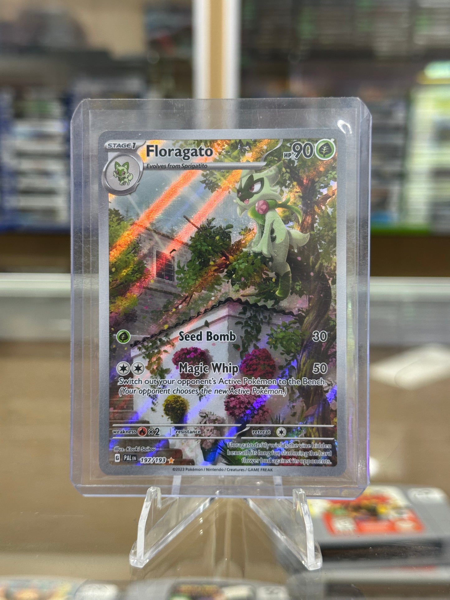 Floragato - 197/193 - SV02: Paldea Evolved NM