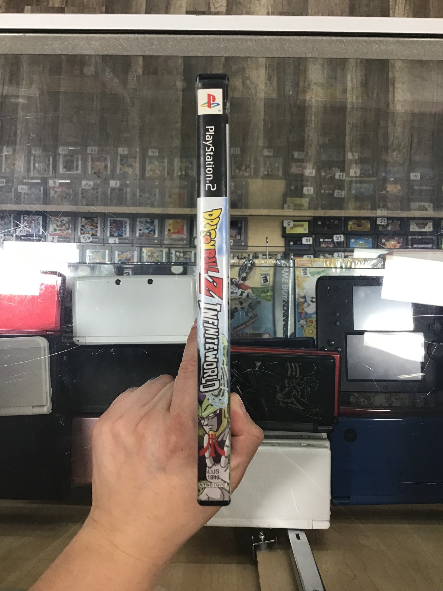 Dragon Ball Z Infinite World PlayStation 2 Case and Manual ONLY