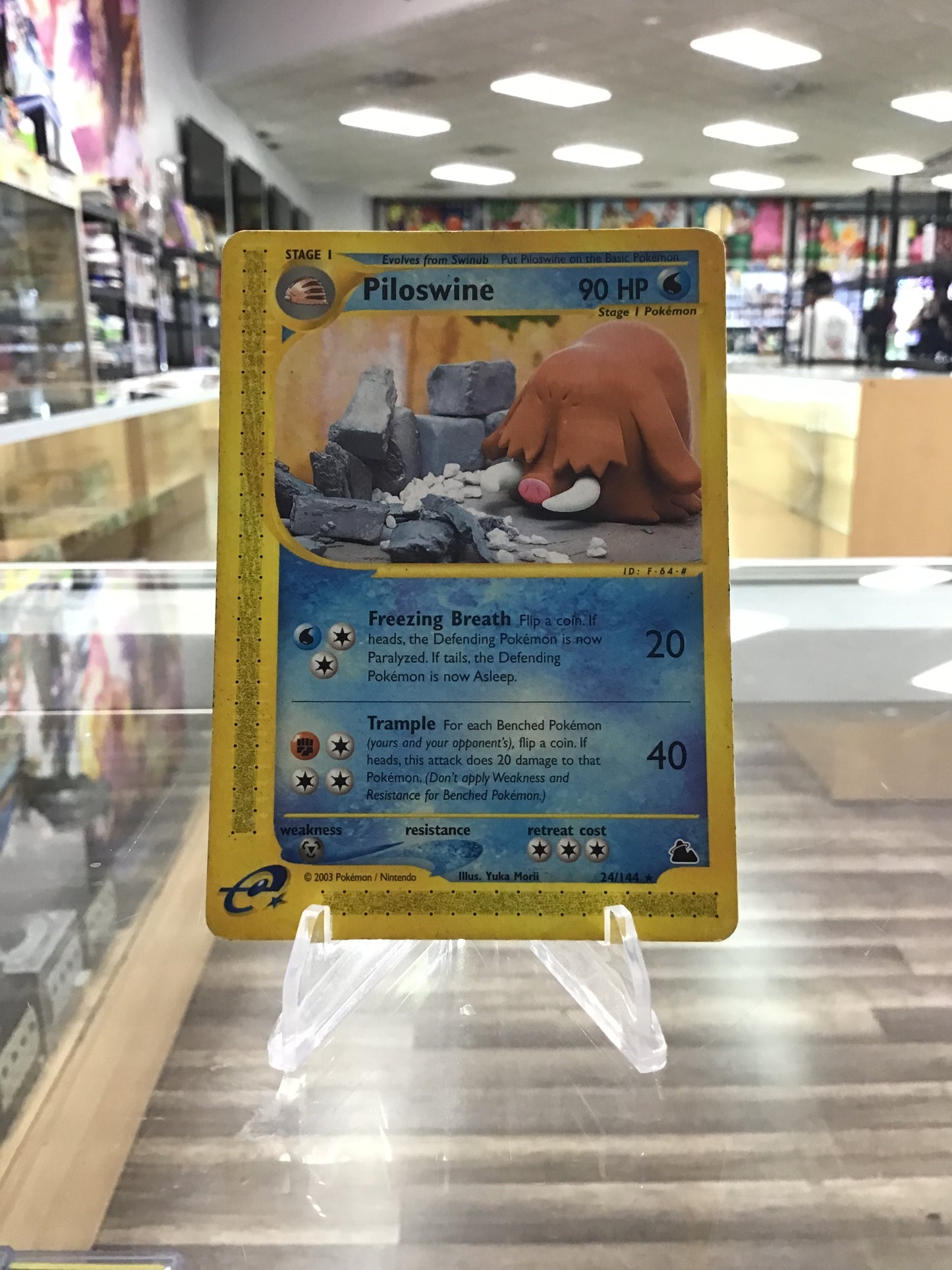 (MP) Piloswine (24) Skyridge