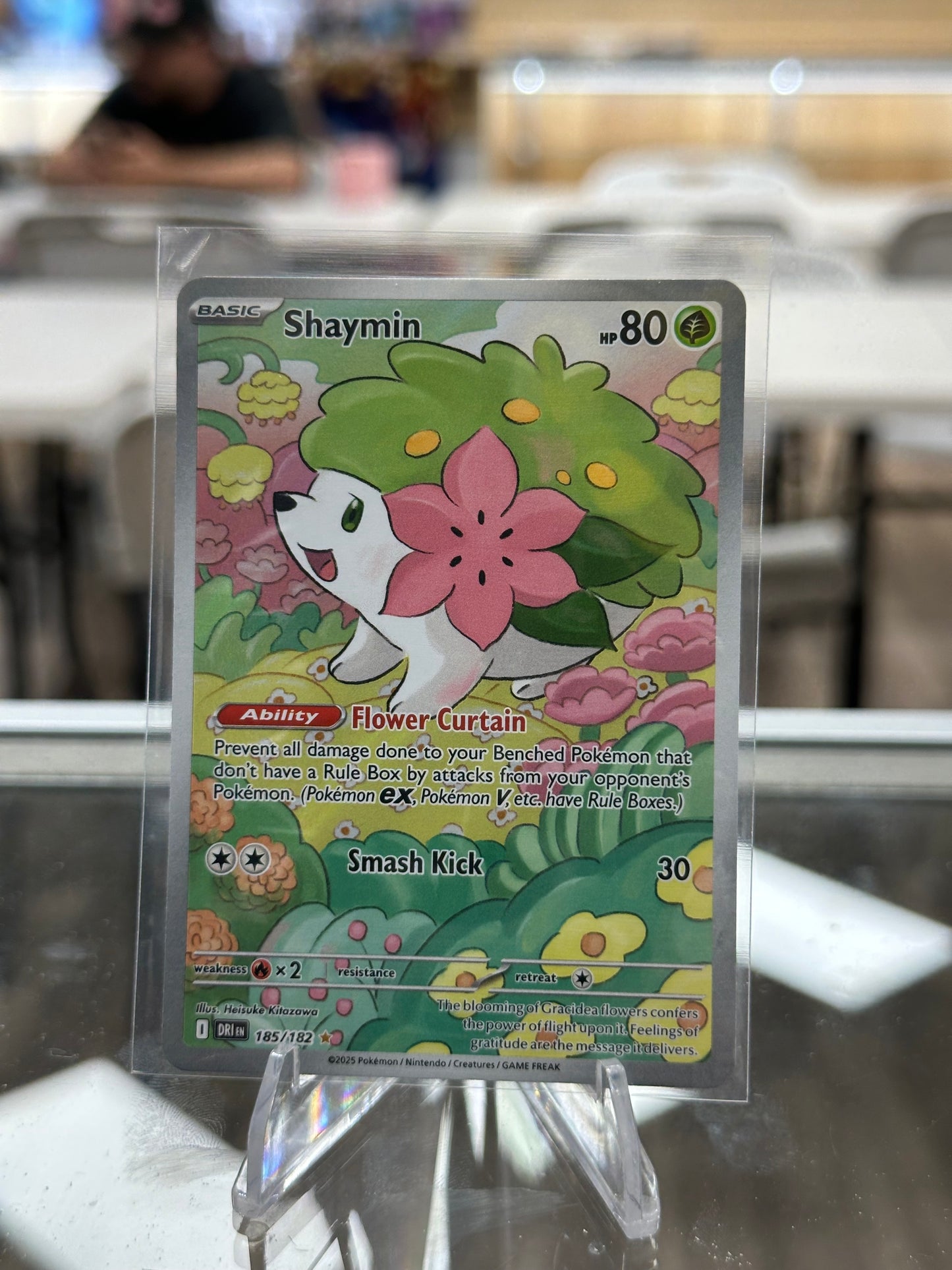 Shaymin - 185/182 - SV10: Destined Rivals (DRI) NM