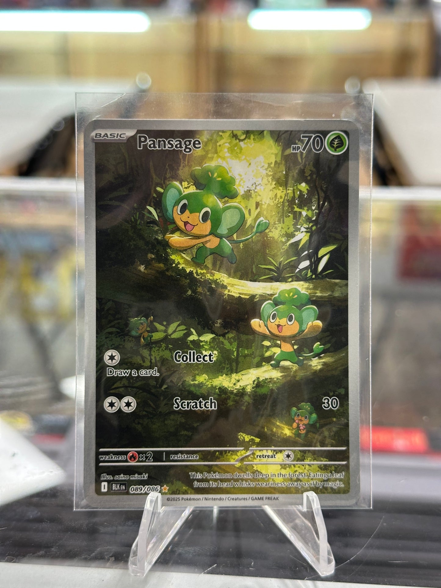 Pansage - 089/086 - SV: Black Bolt