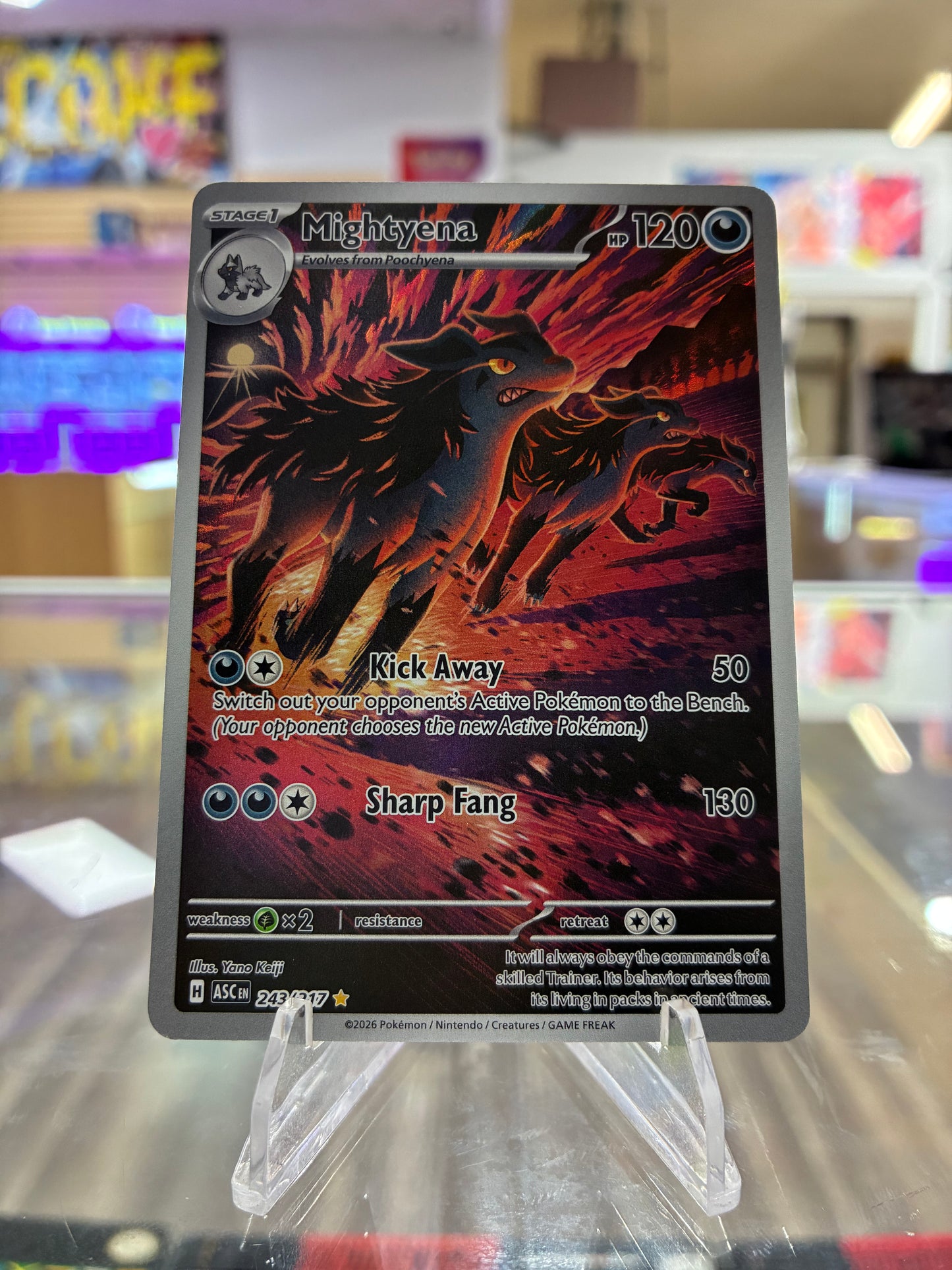 (NM) Mightyena - 243/217 - ME: Ascended Heroes