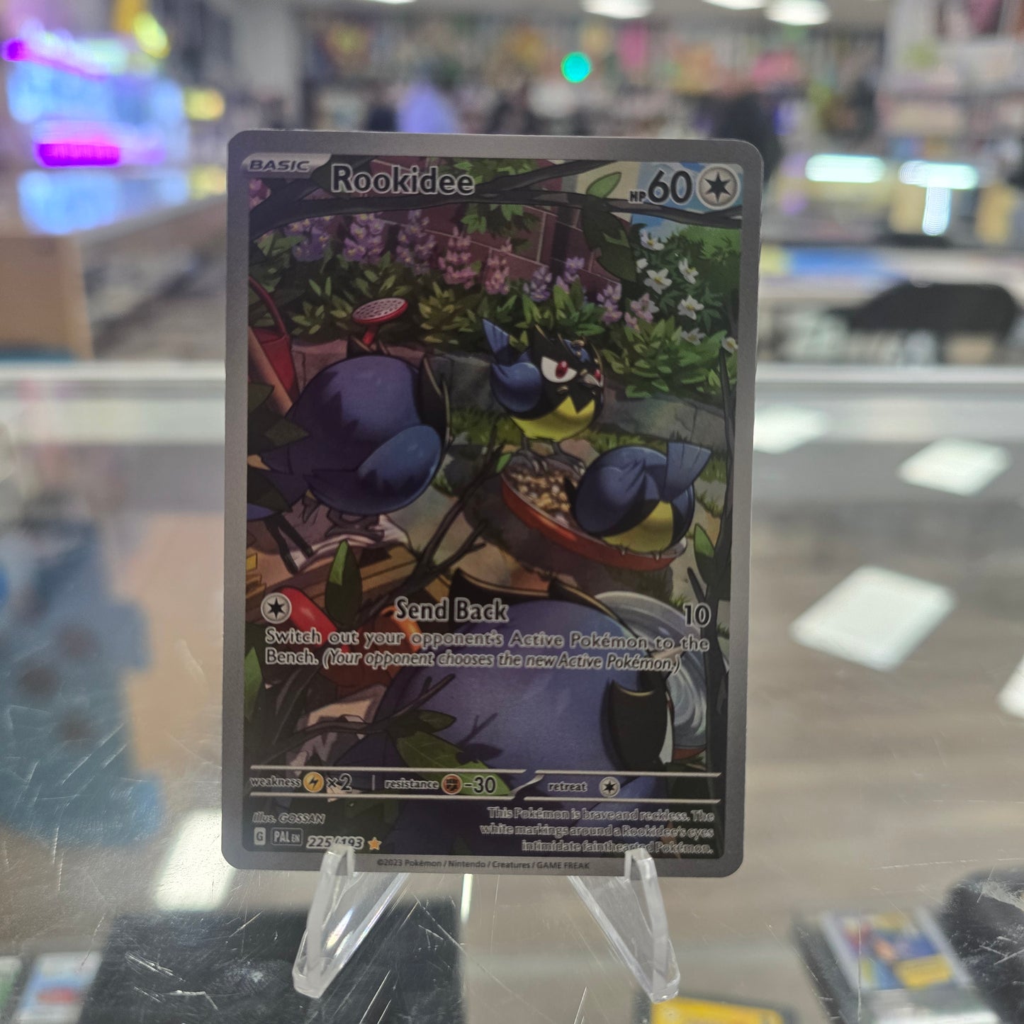Rookidee - 225/193 - SV02: Paldea Evolved NM