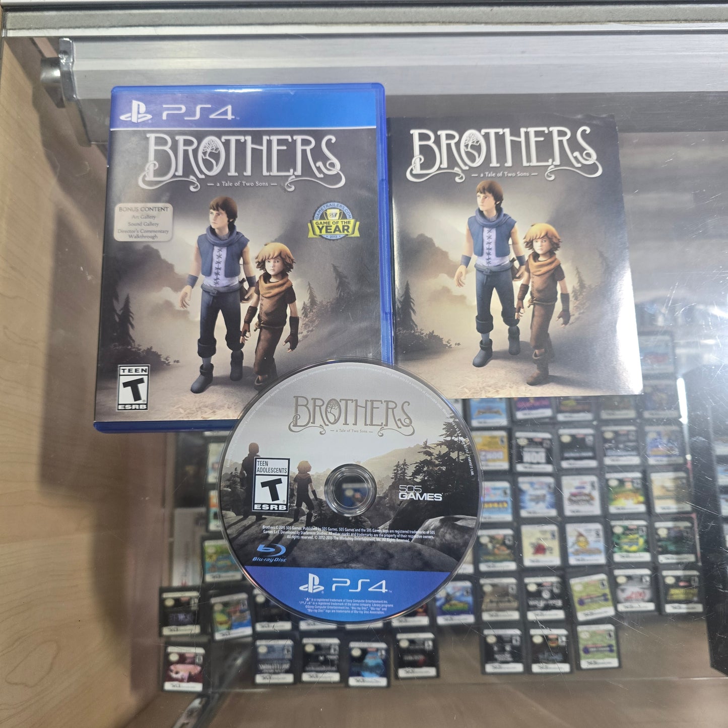 Brothers Playstation 4