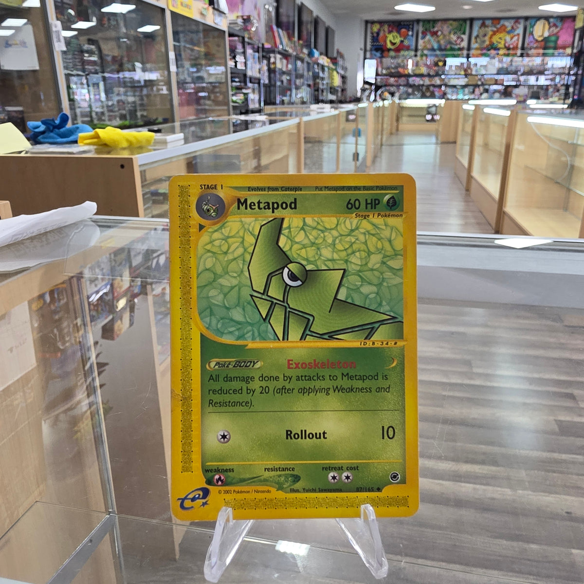 (LP) Metapod - Expedition