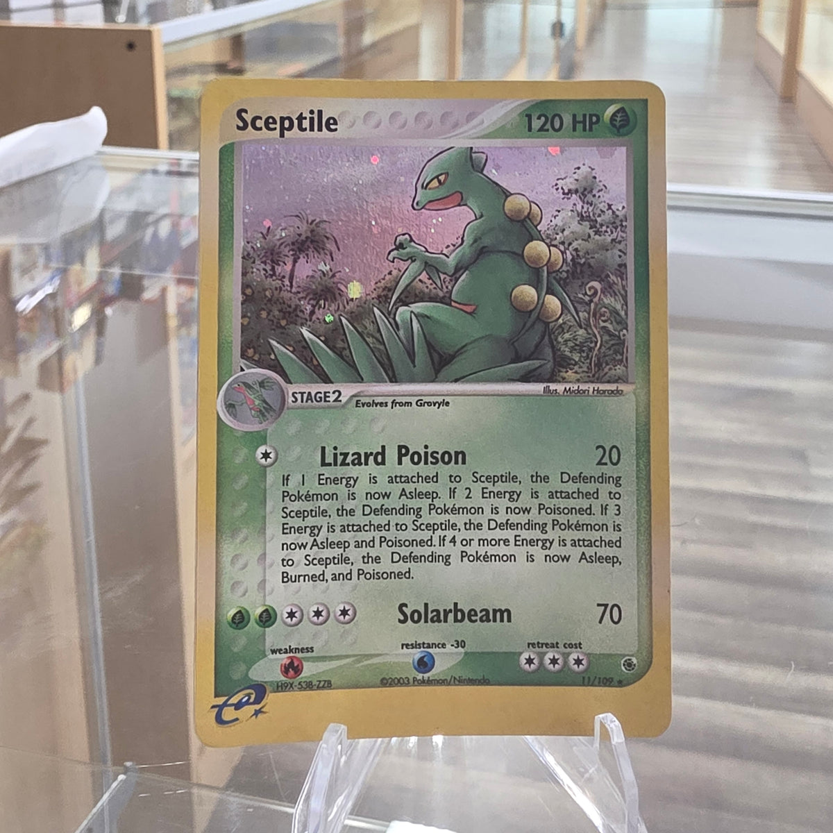 (LP) Sceptile - 11/109 - EX Ruby and Sapphire