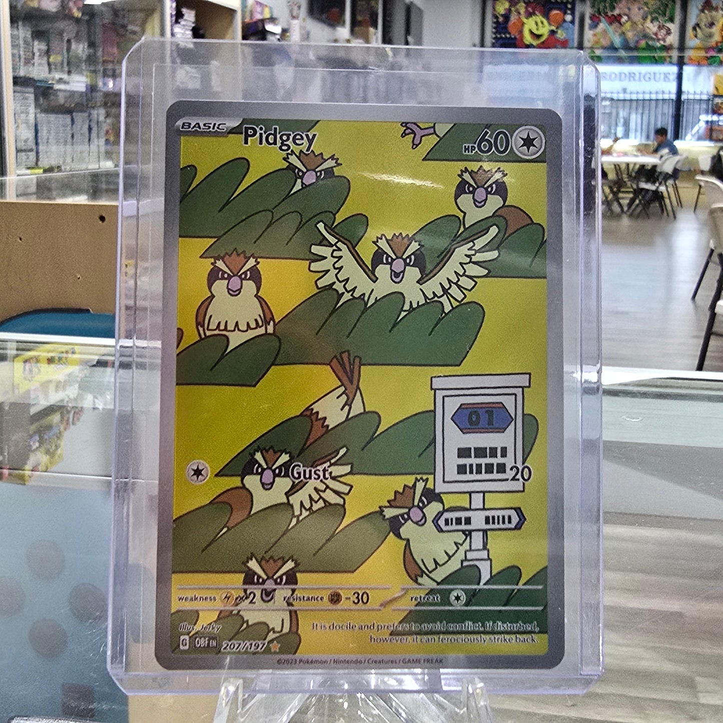 Pidgey - 207/197 - SV03: Obsidian Flames (NM)