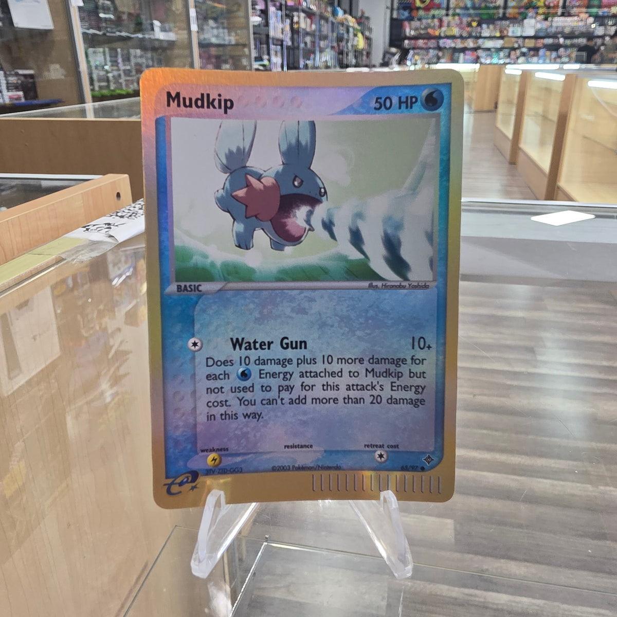 (NM) Mudkip - EX Dragon