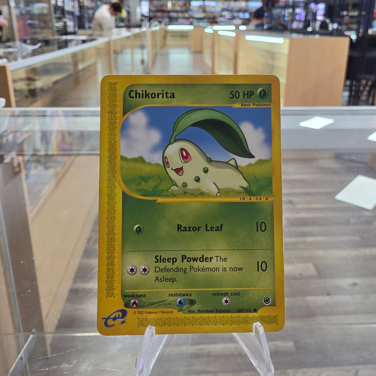 (LP) Chikorita (100) - Expedition