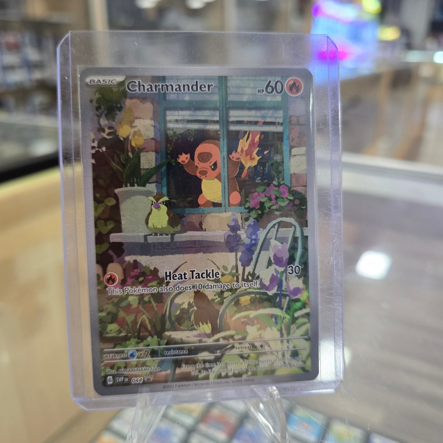 Charmander - 044 - SV: Scarlet & Violet Promo Cards (NM)