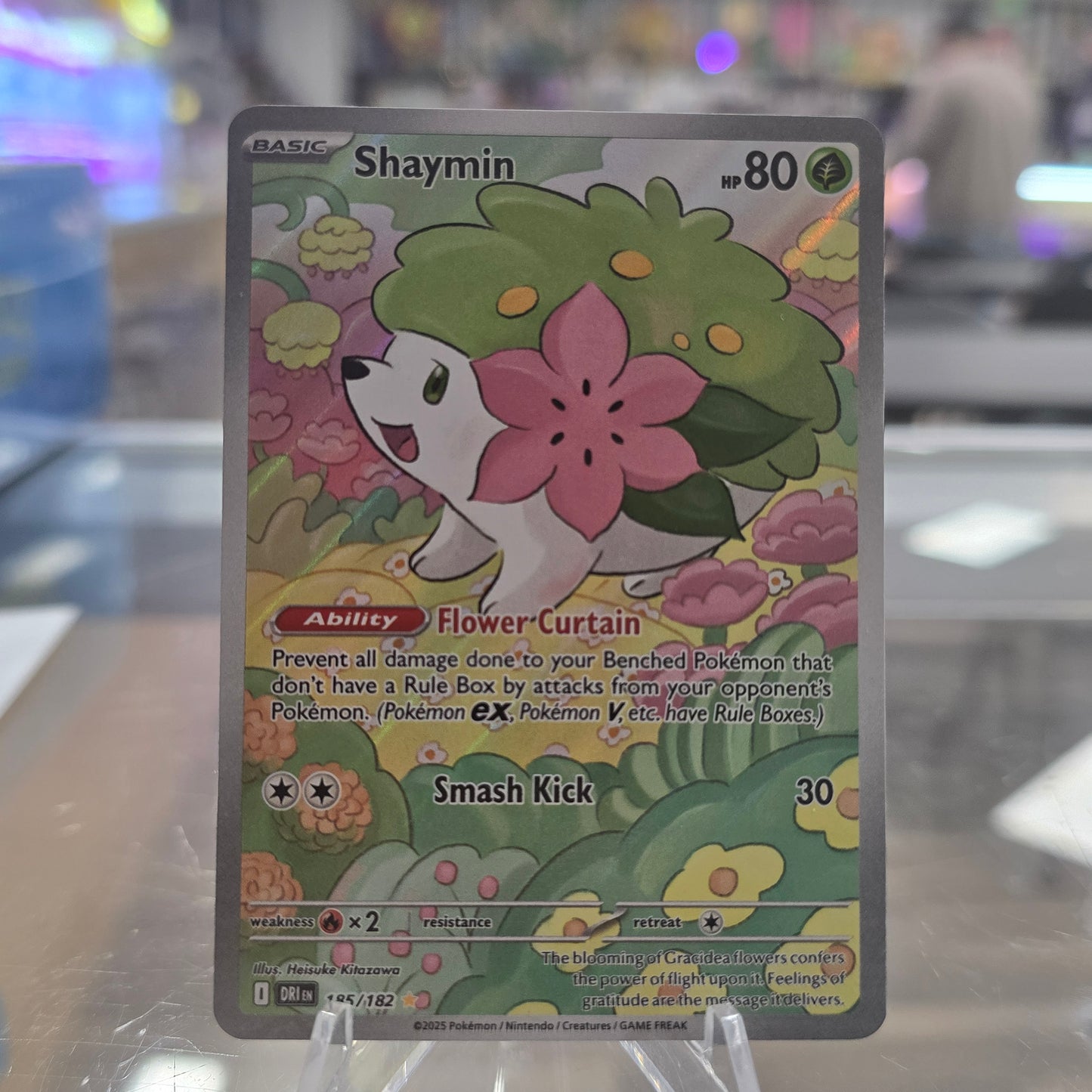 Shaymin - 185/182 - SV10: Destined Rivals (NM)