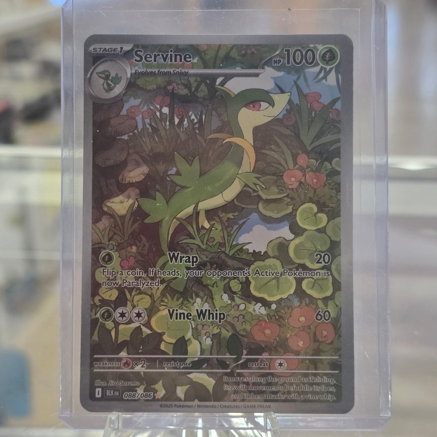 Servine - 088/086 - SV: Black Bolt (NM)