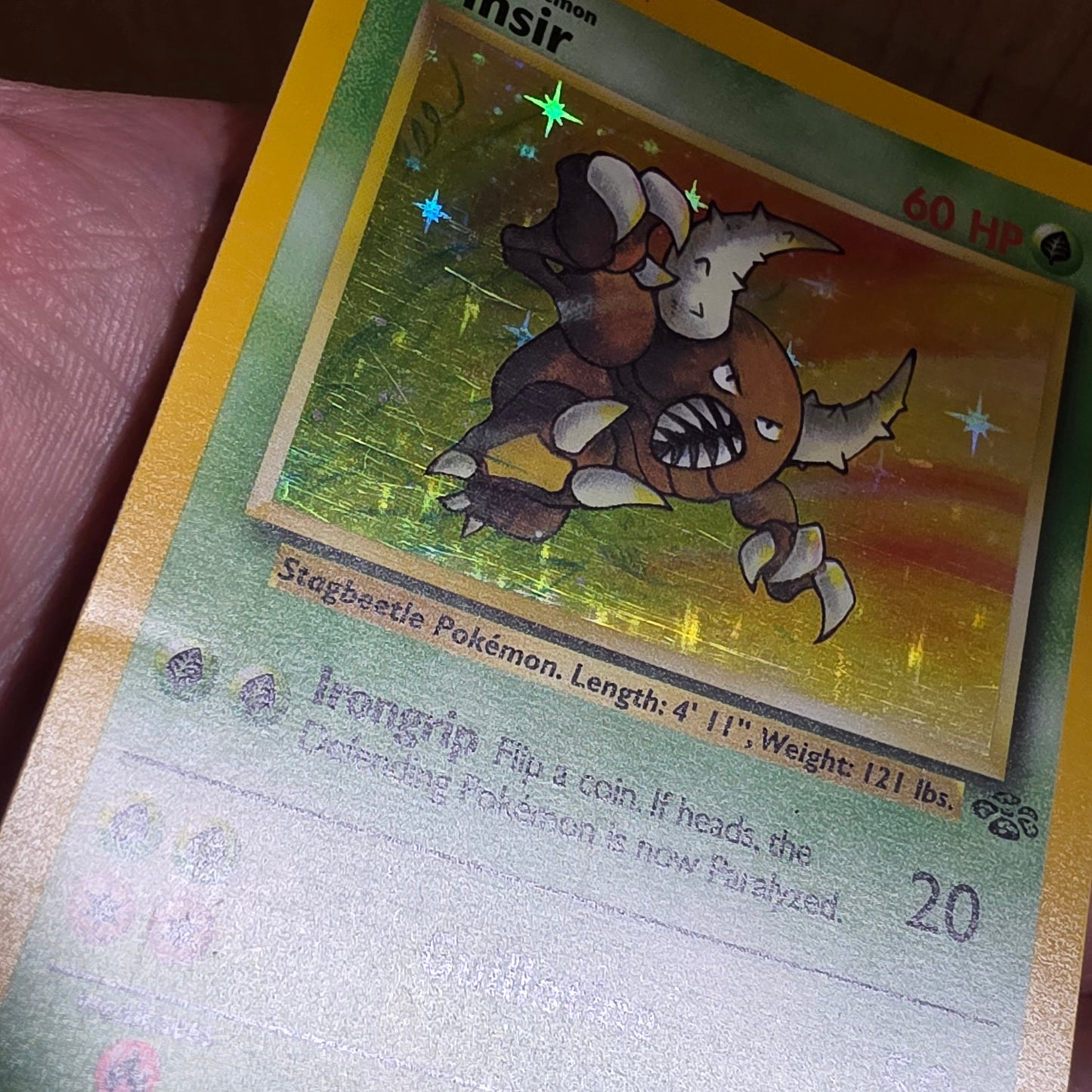 Pinsir (9) - Jungle (MP)