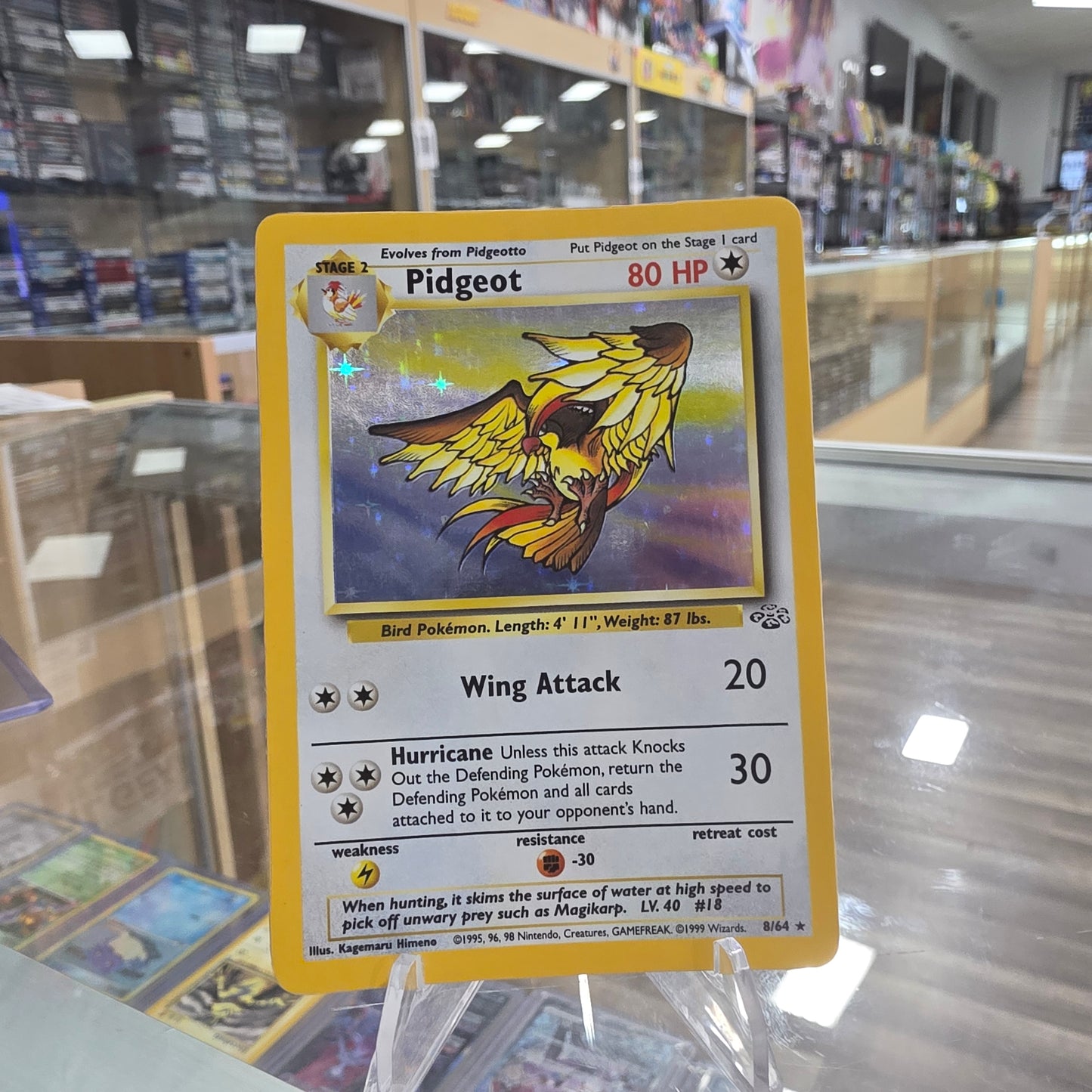 Pidgeot (8) - Jungle (NM)