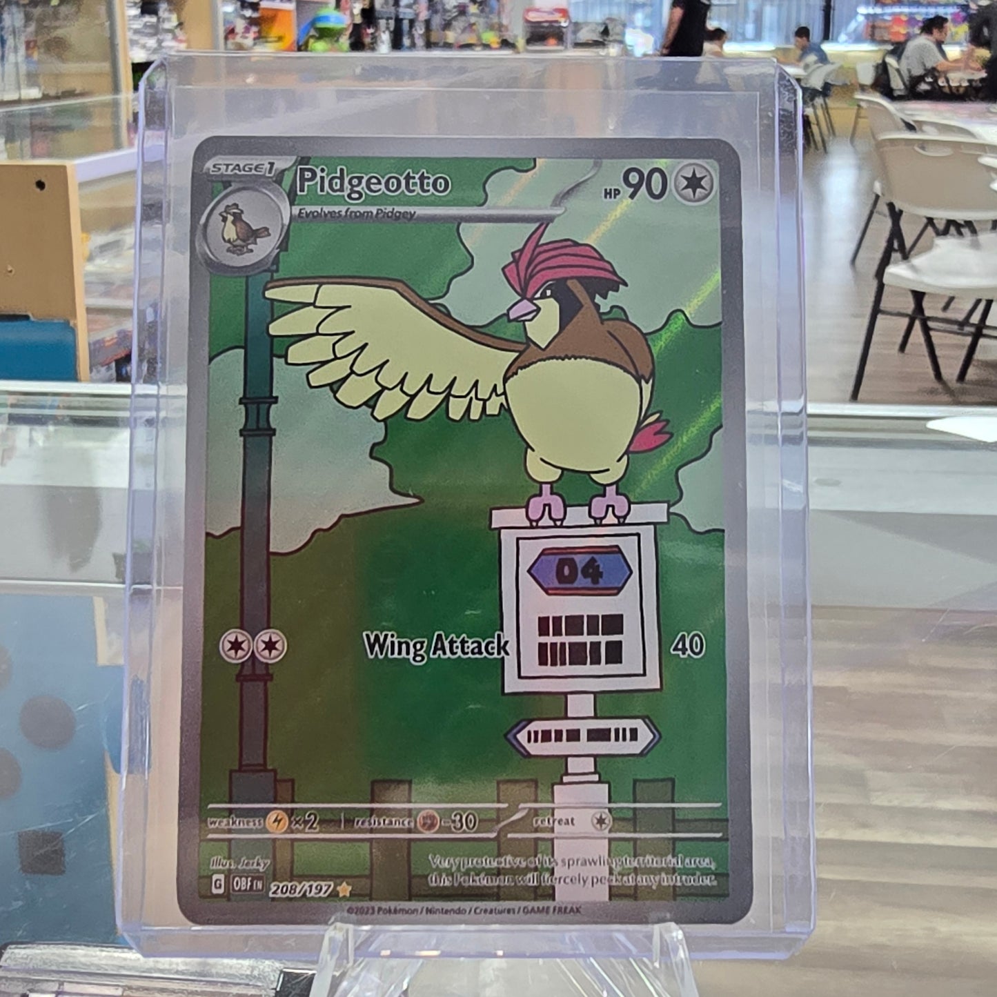 Pidgeotto - 208/197 - SV03: Obsidian Flames (NM)