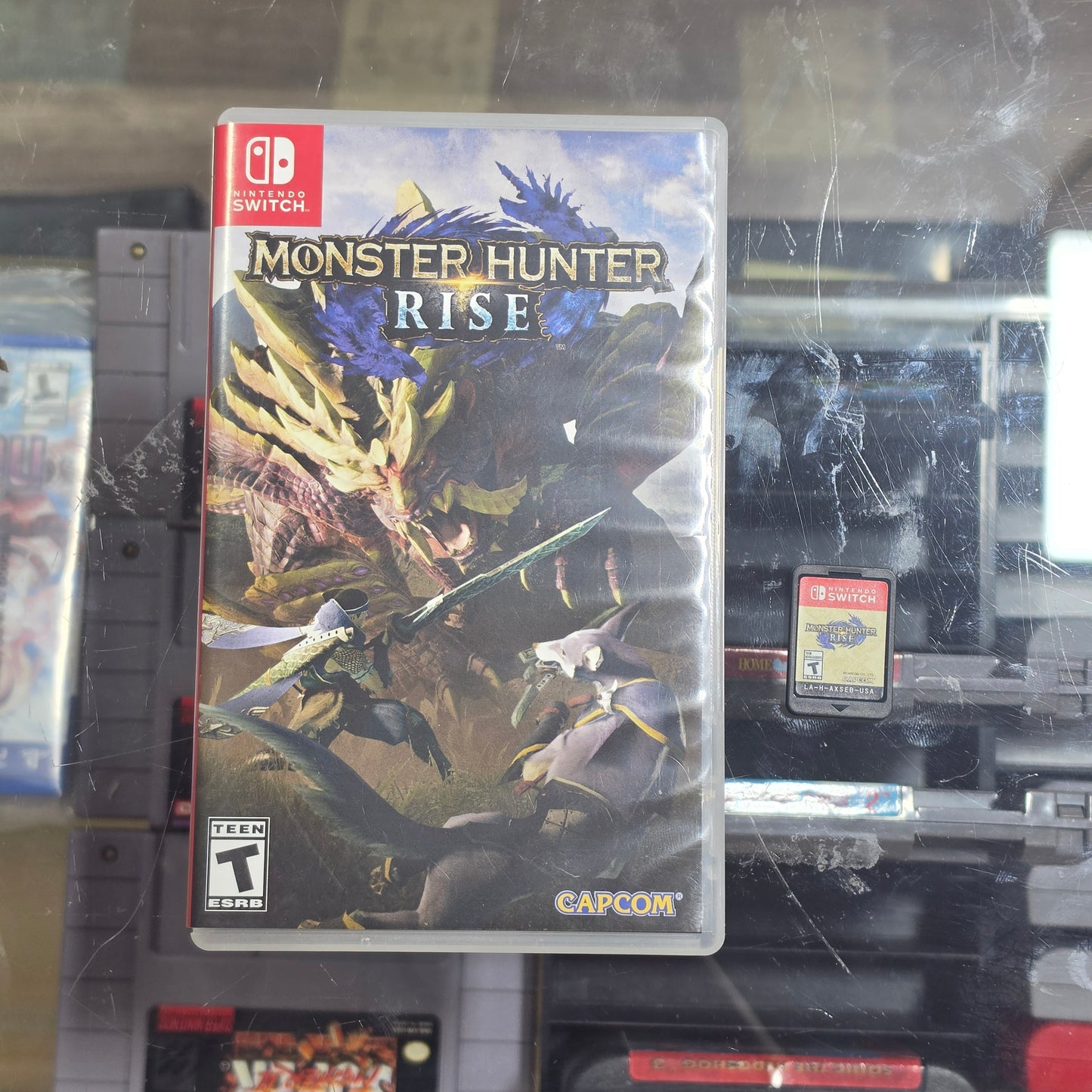Monster Hunter Rise Nintendo Switch