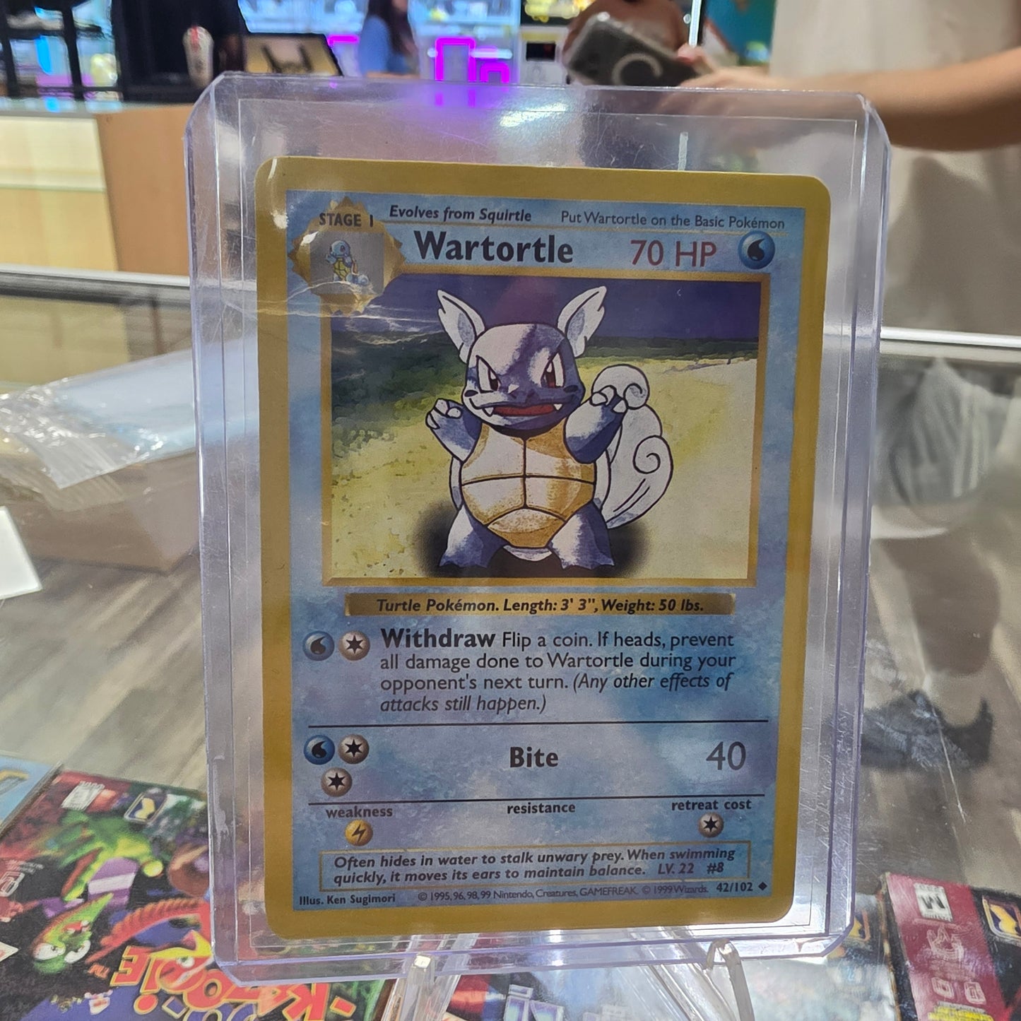 Wartortle - Base Set (Shadowless) (NM)