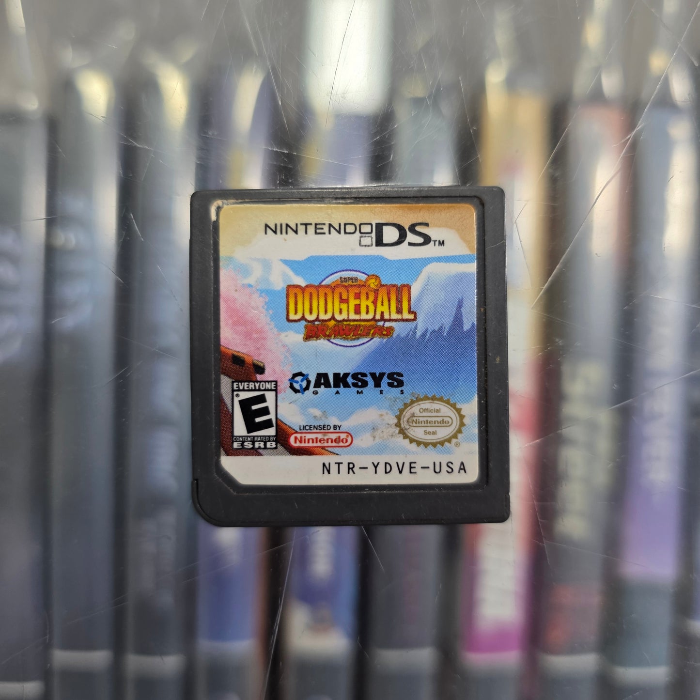 Super Dodgeball Brawlers Nintendo DS