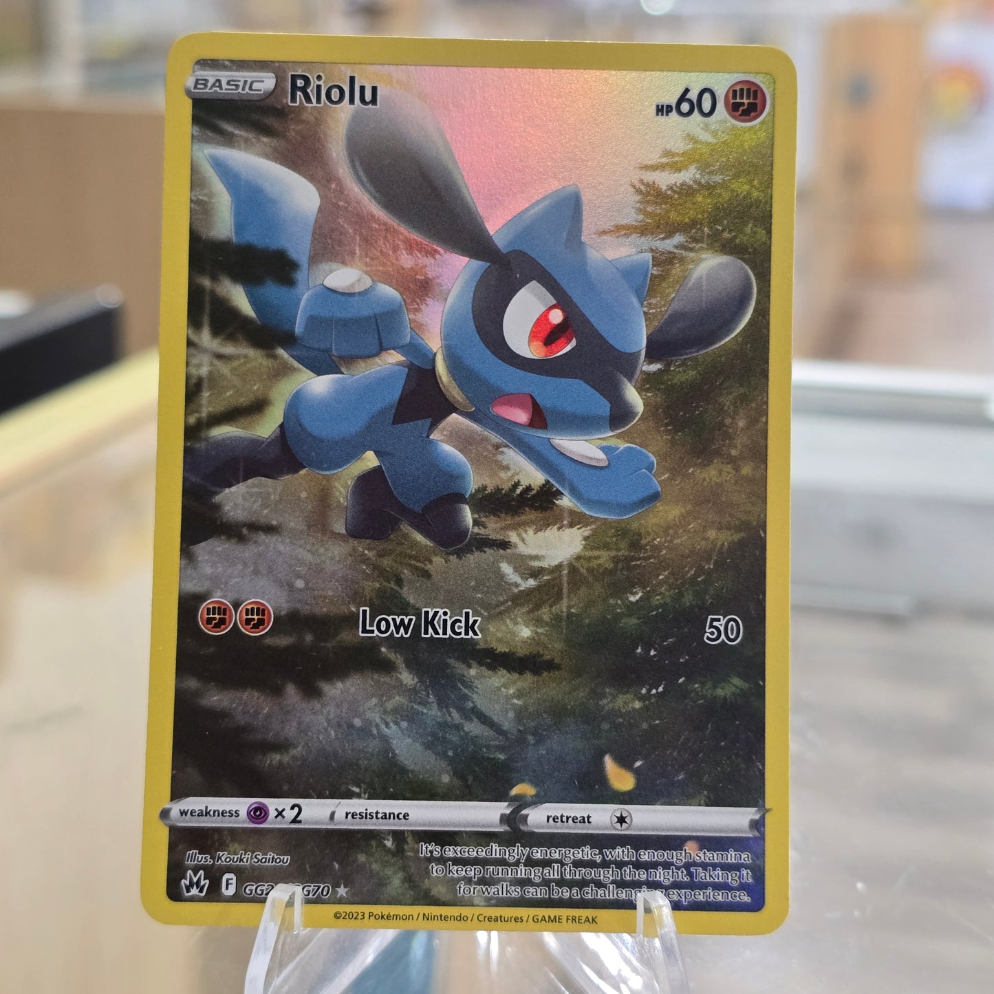 Riolu - Crown Zenith: Galarian Gallery (NM)