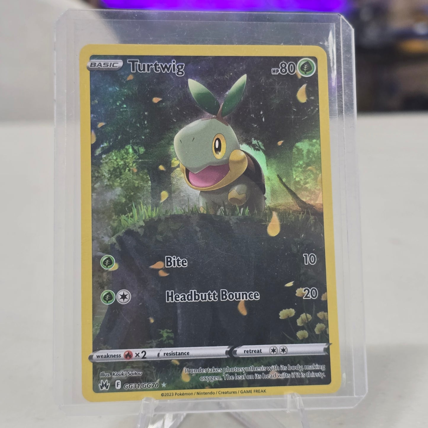Turtwig - Crown Zenith: Galarian Gallery (NM)