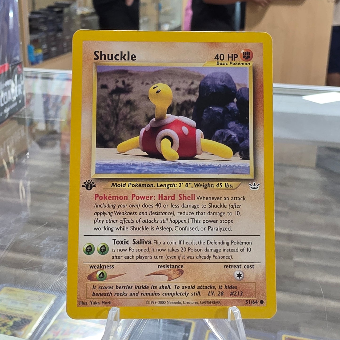 (LP) Shuckle - Neo Revelation
