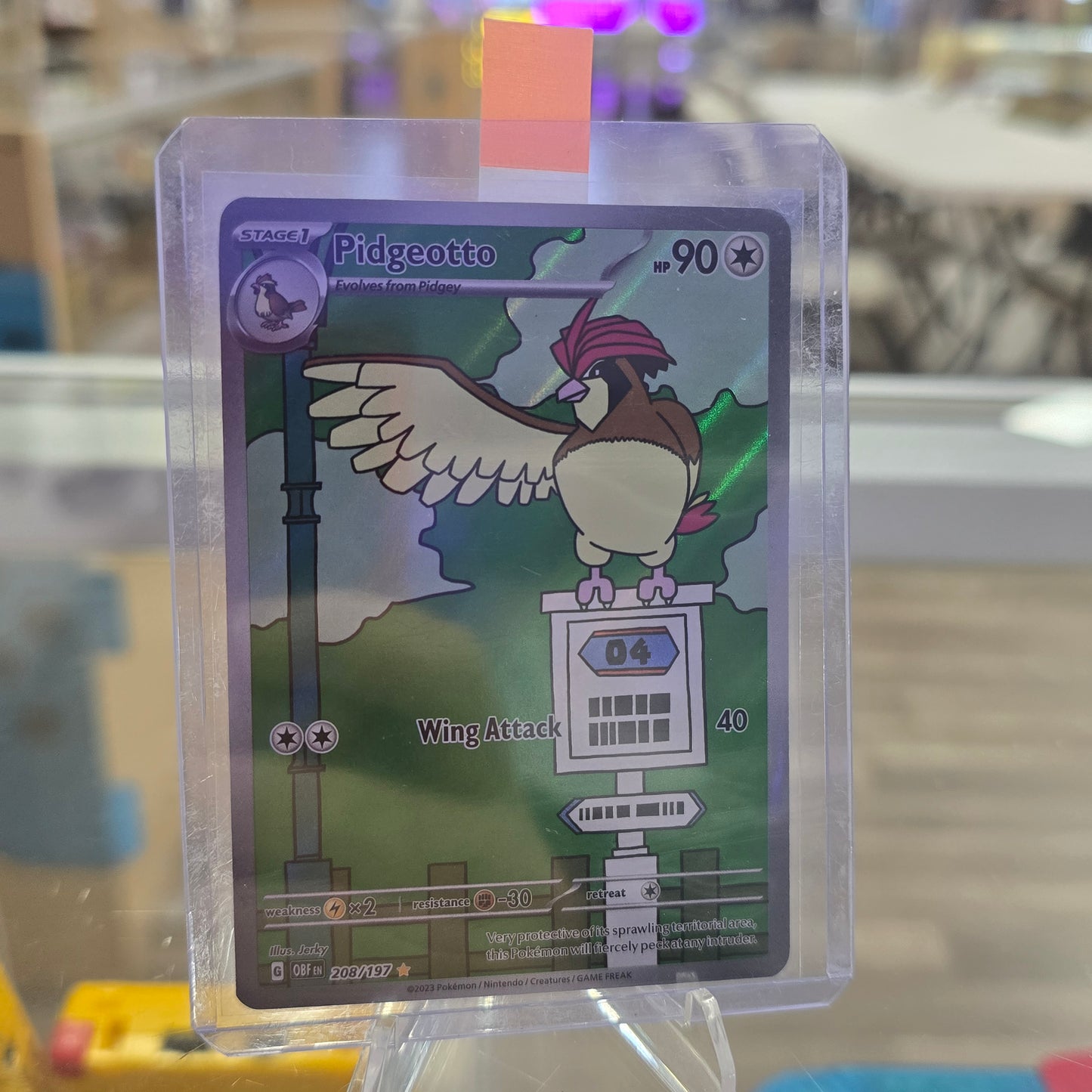 Pidgeotto - 208/197 - SV03: Obsidian Flames (NM)