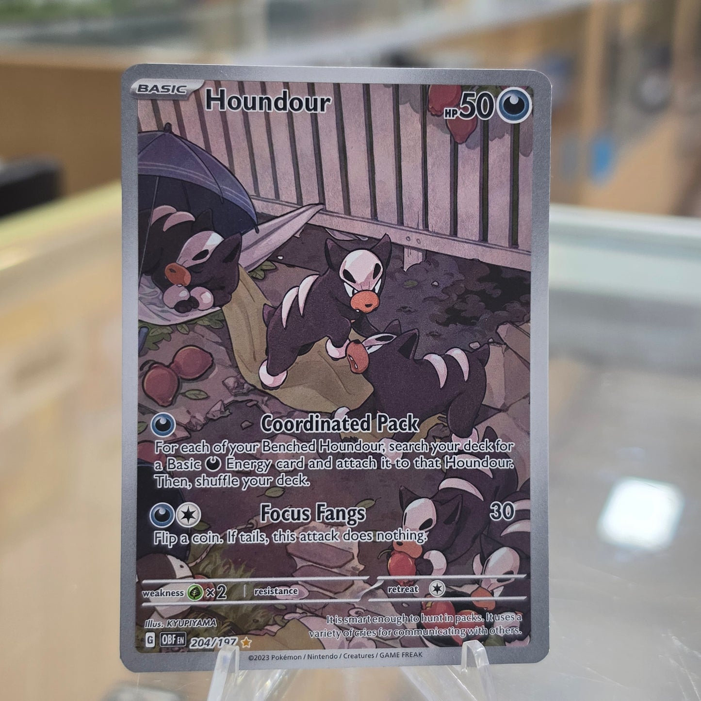 Houndour - 204/197 - SV03: Obsidian Flames (NM)