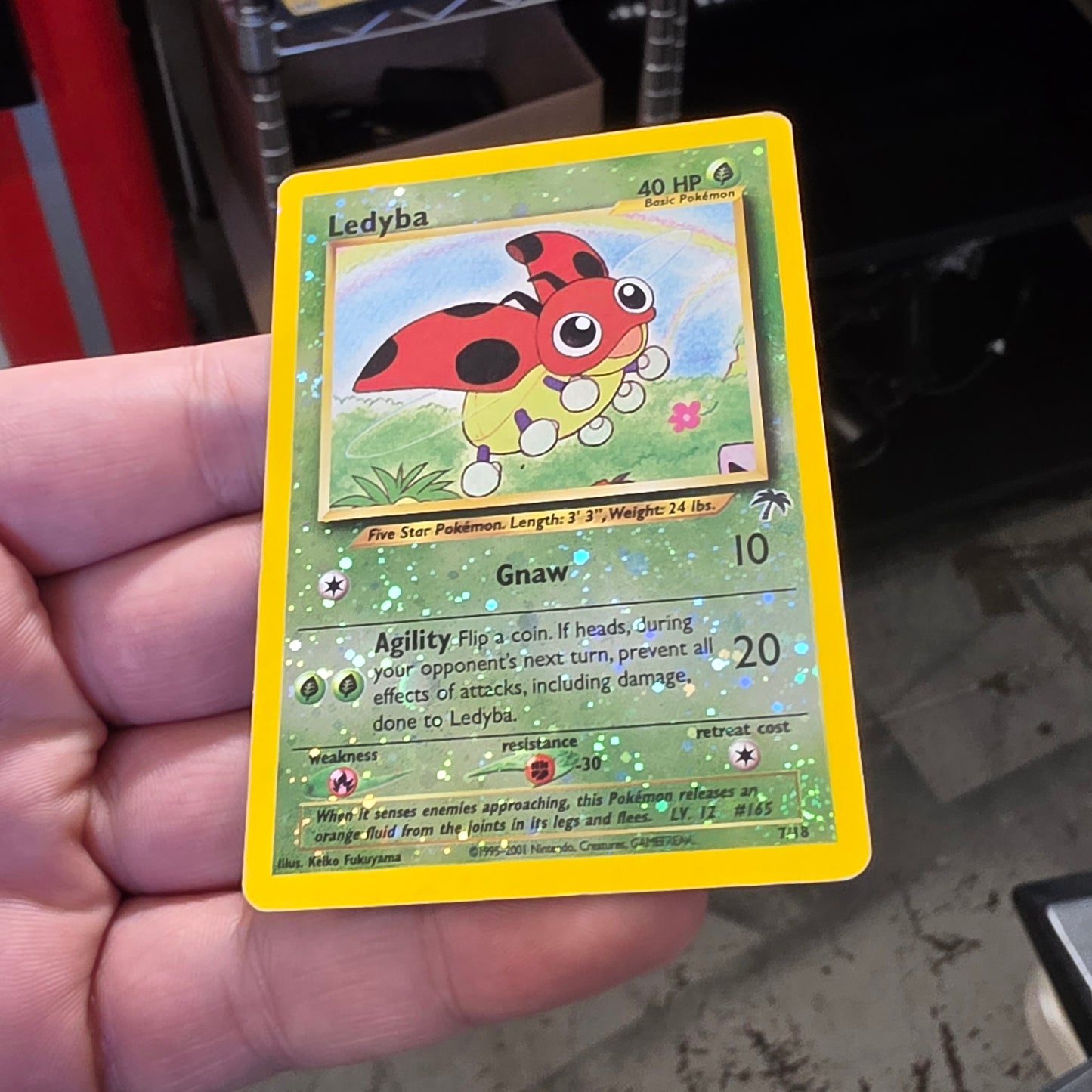 Southern Islands Set (15/18) English Pokemon Cards Check photos for condition)