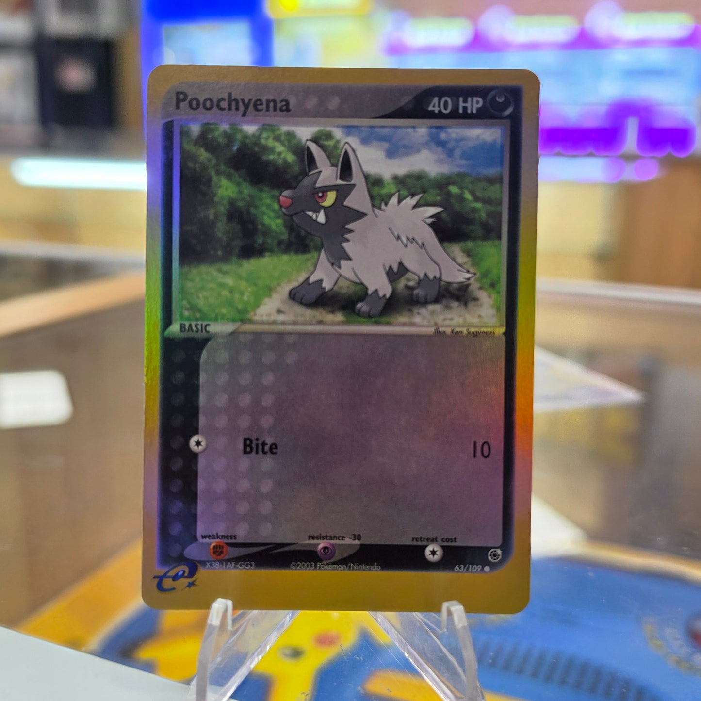 Poochyena - 63/109 - Ruby and Sapphire (NM)