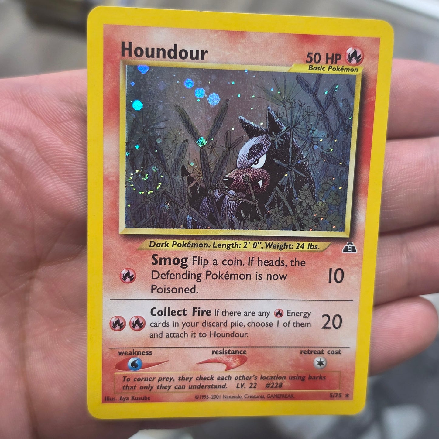 Houndour (5) - Neo Discovery (LP)
